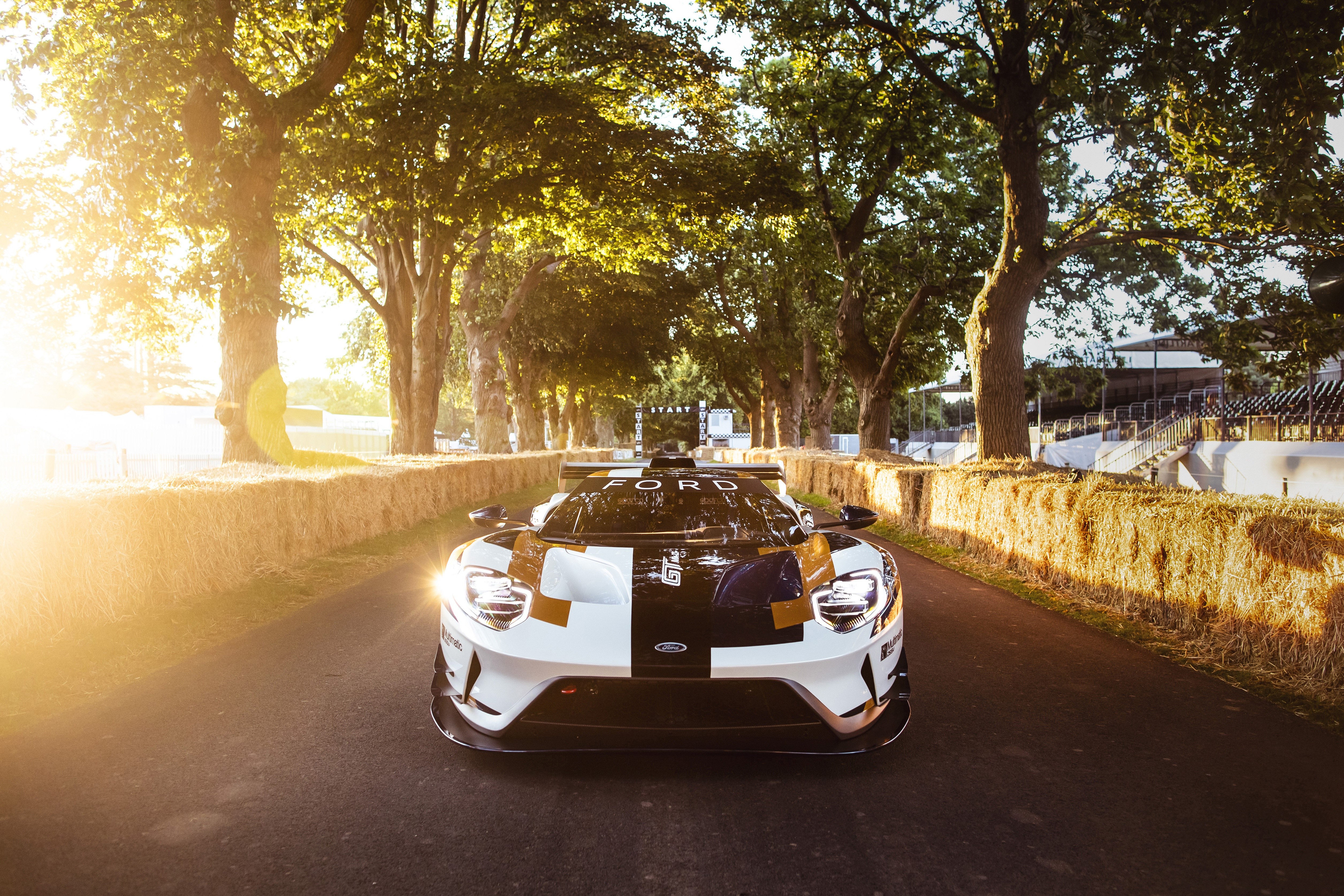 Ford GT Mk II race car on a tree-lined road HD Wallpaper