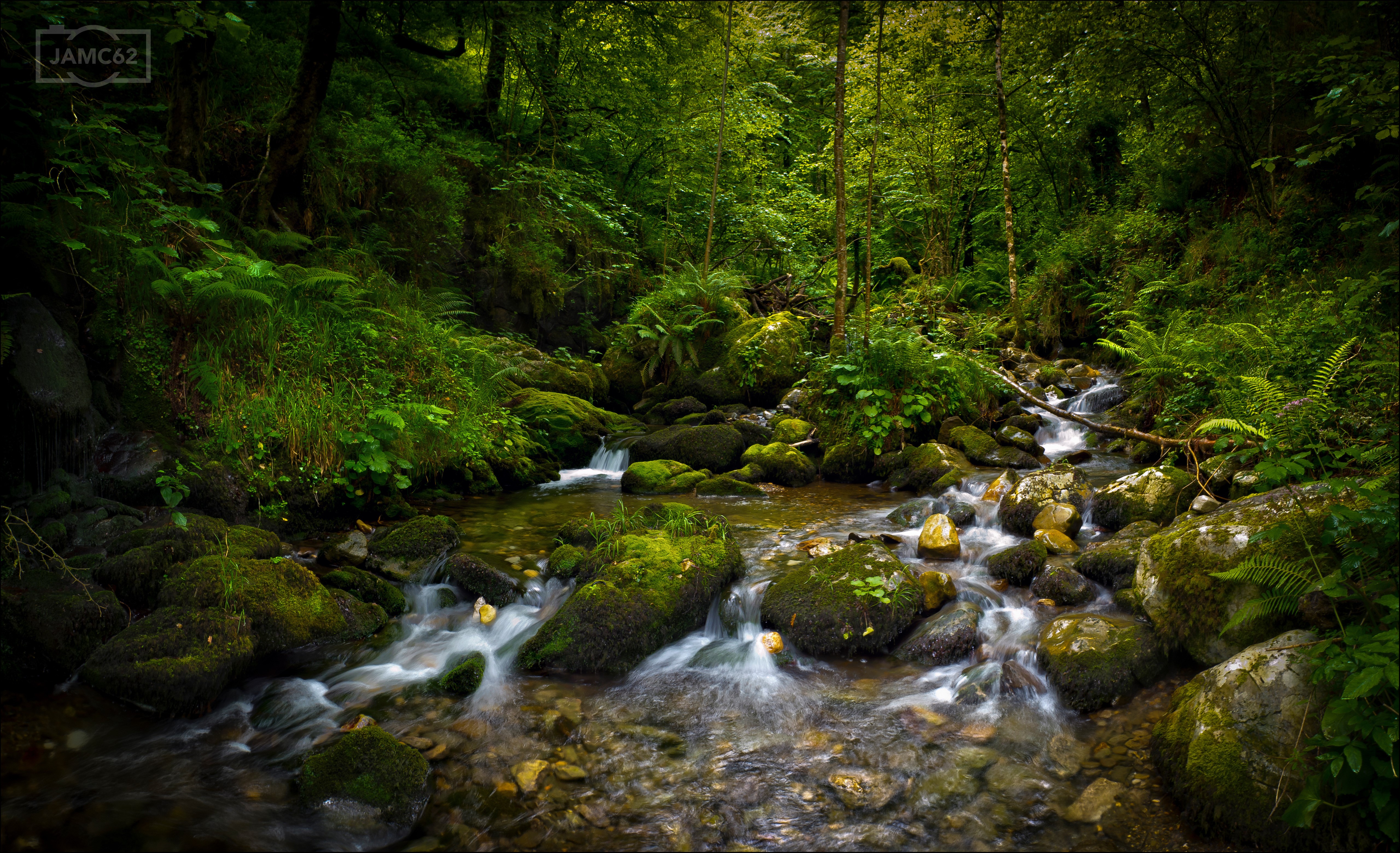 Forest stream with mossy stones in Asturias, Spain HD Wallpaper