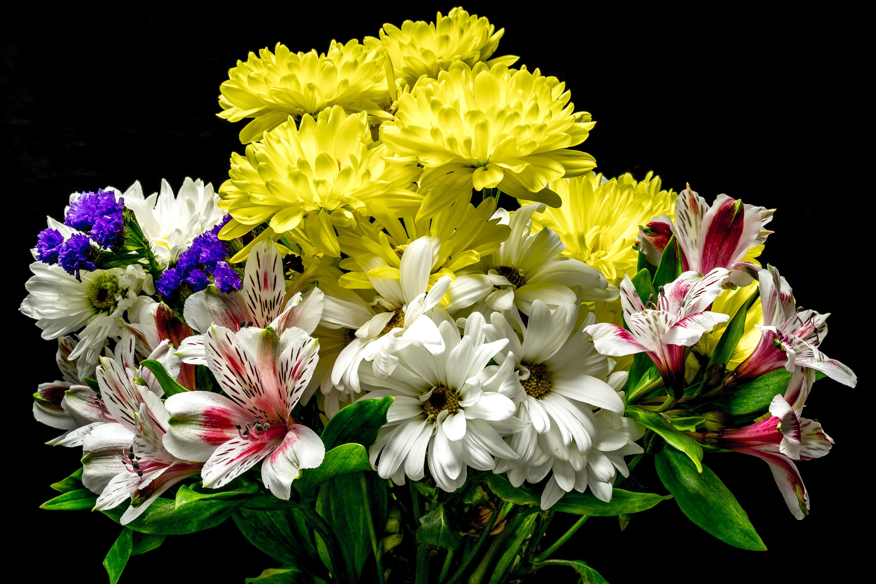 Bright Bouquet of Chrysanthemums and Alstroemeria HD Wallpaper