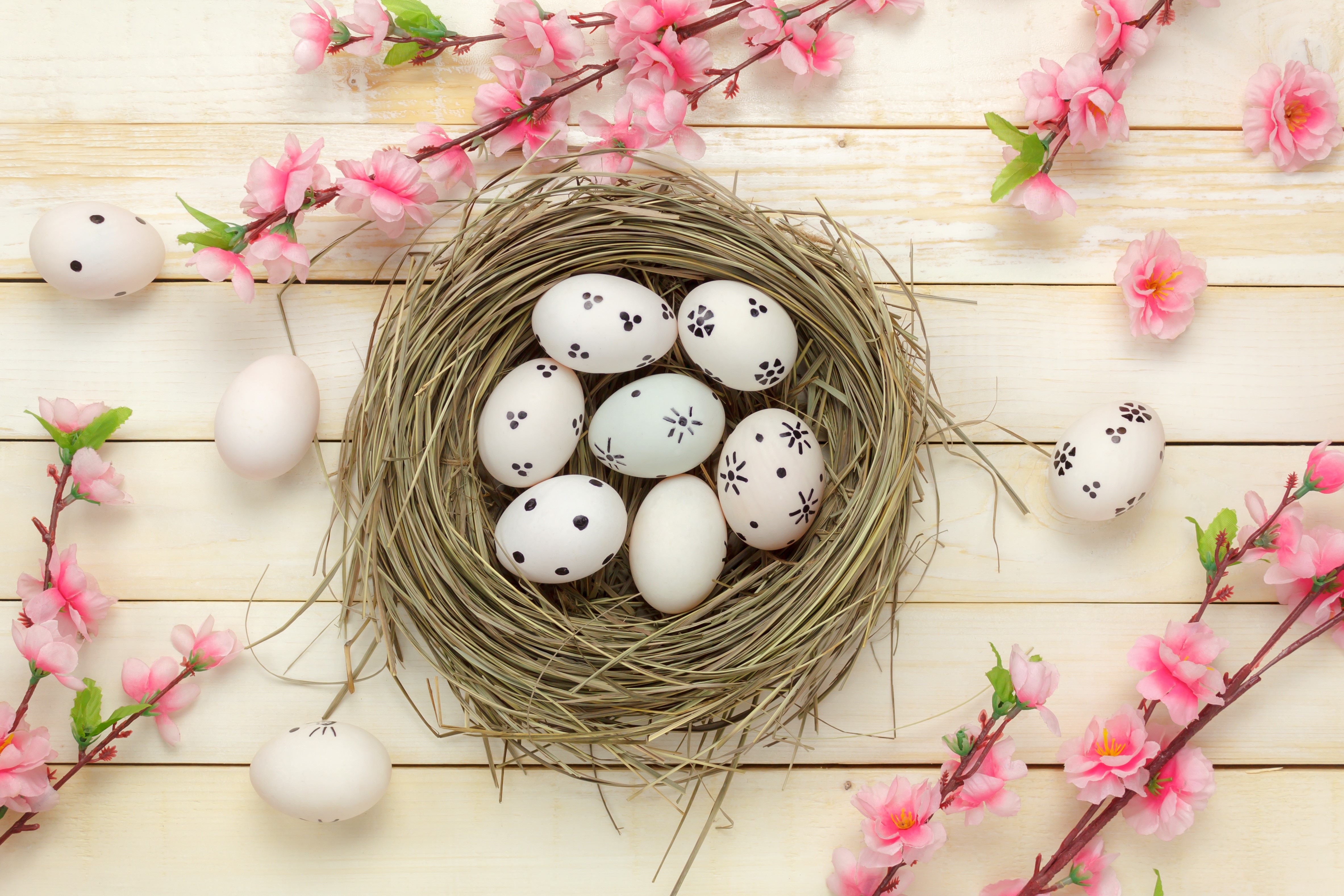 Easter Eggs in a Nest on Wood Planks HD Wallpaper