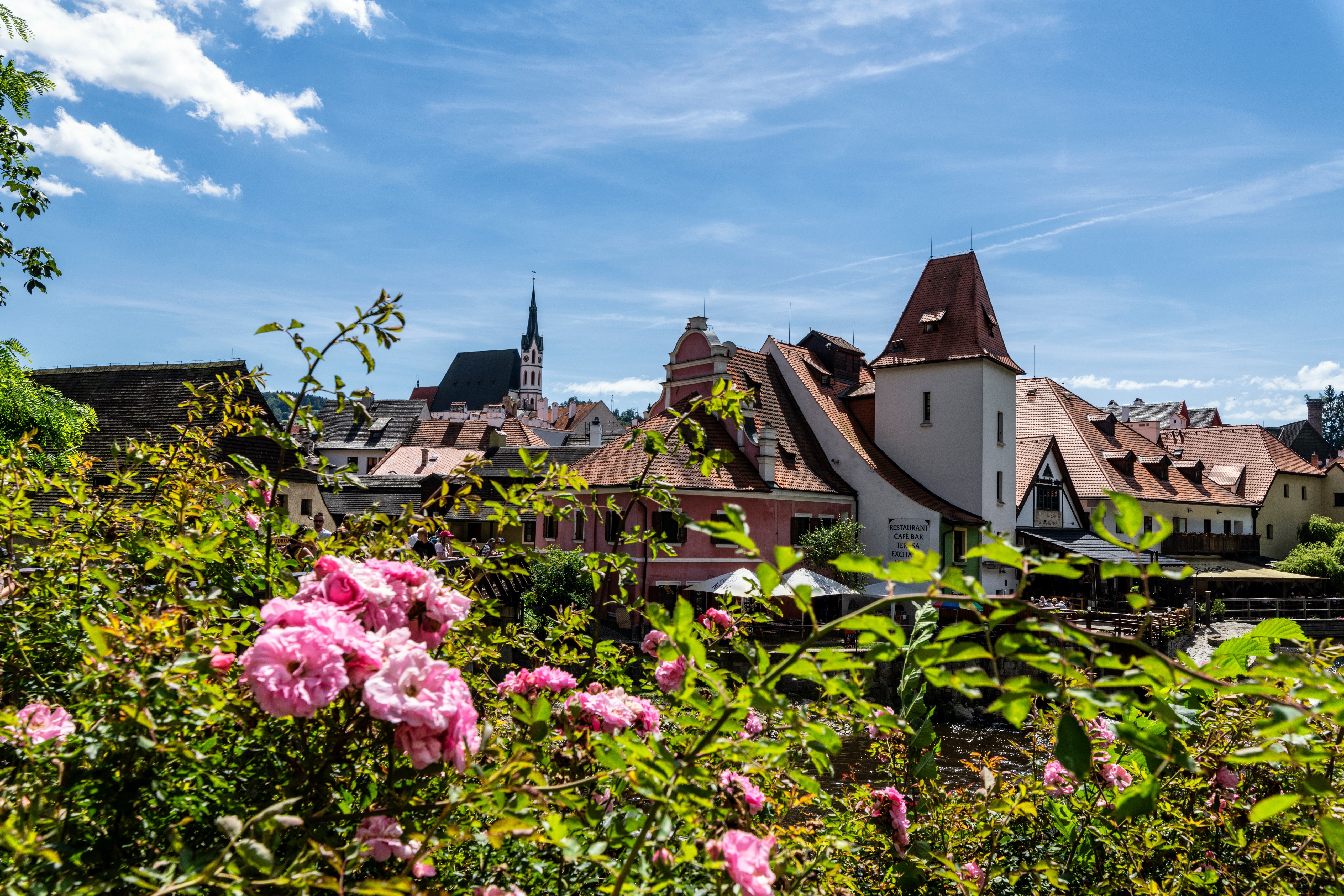 Cesky Krumlov, Czech Republic, Houses, Flowering trees HD Wallpaper
