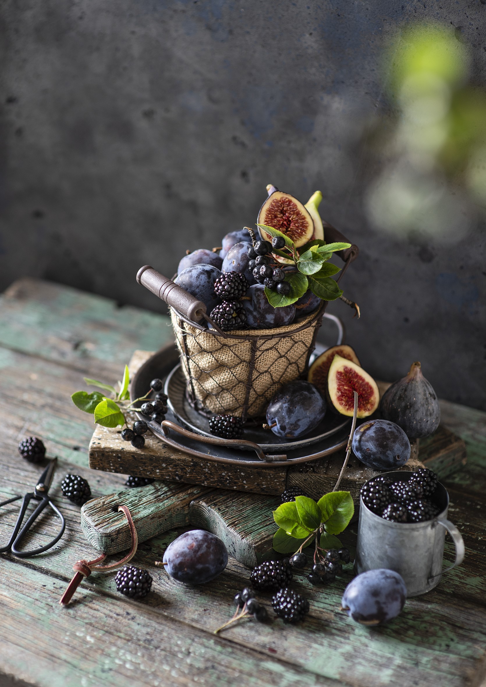 Still life of plums, blackberries, and figs in a basket HD Phone Wallpaper