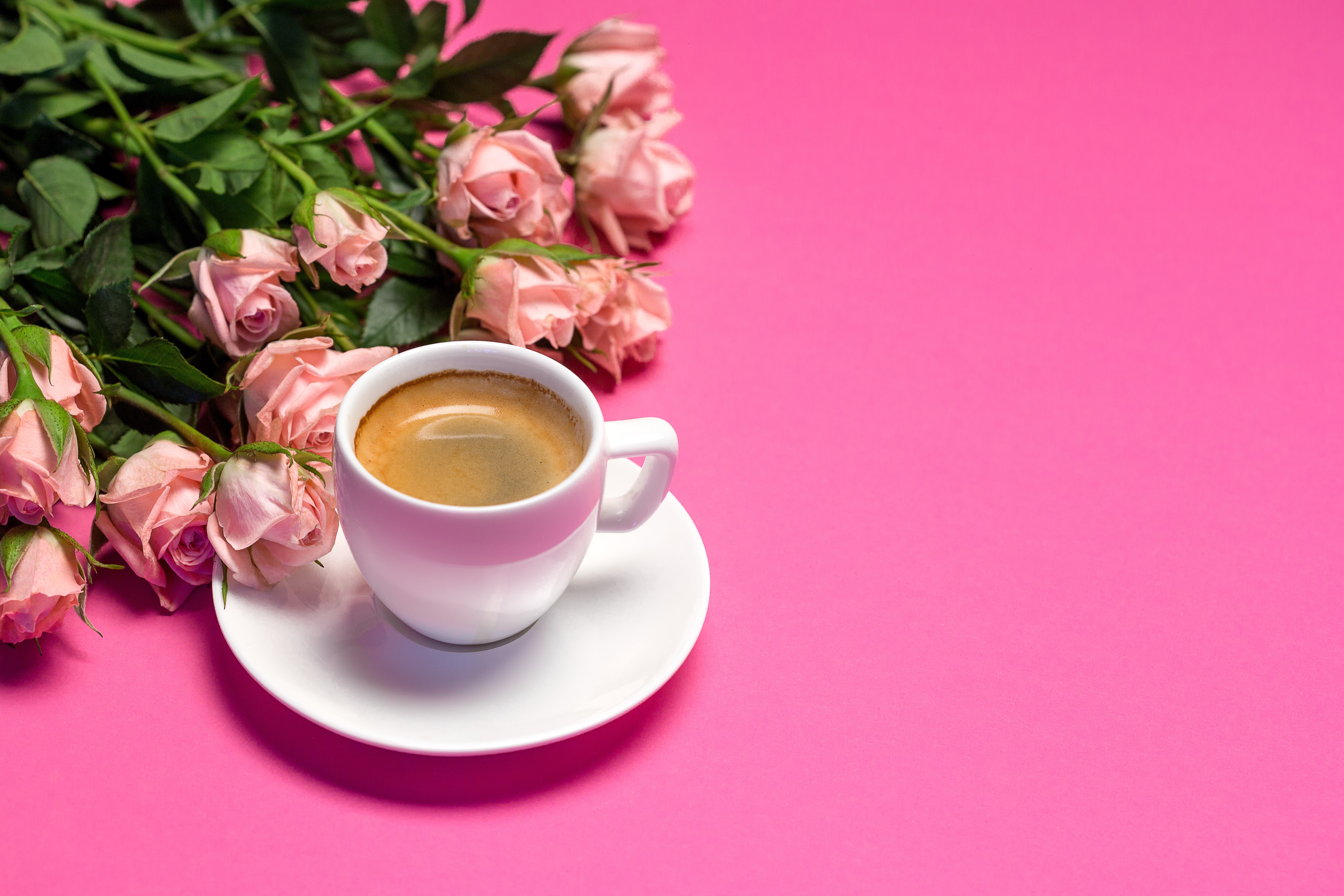 Cup of Coffee with Pink Roses on Pink Background HD Wallpaper