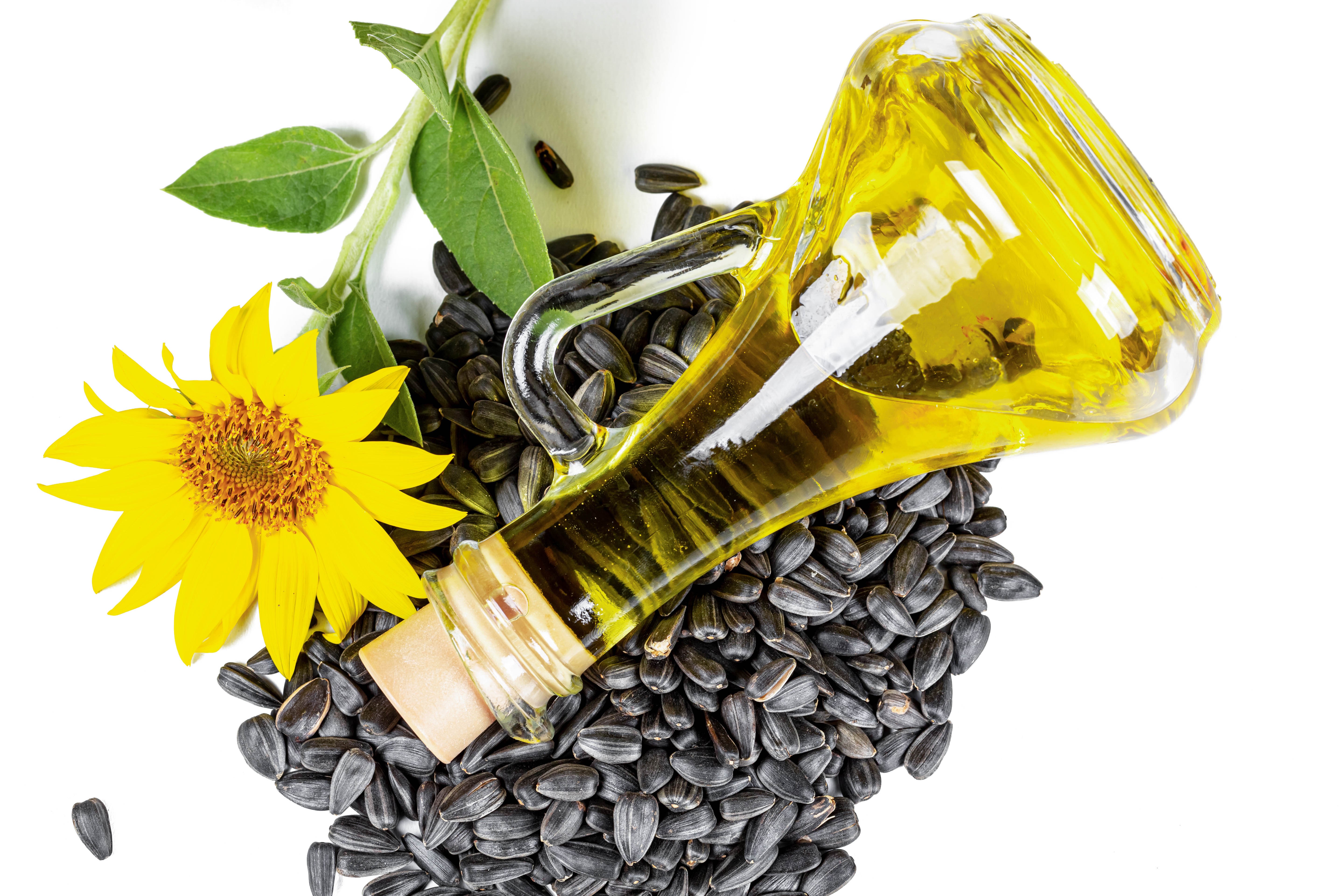 Sunflower oil in a bottle with seeds and flower HD Wallpaper