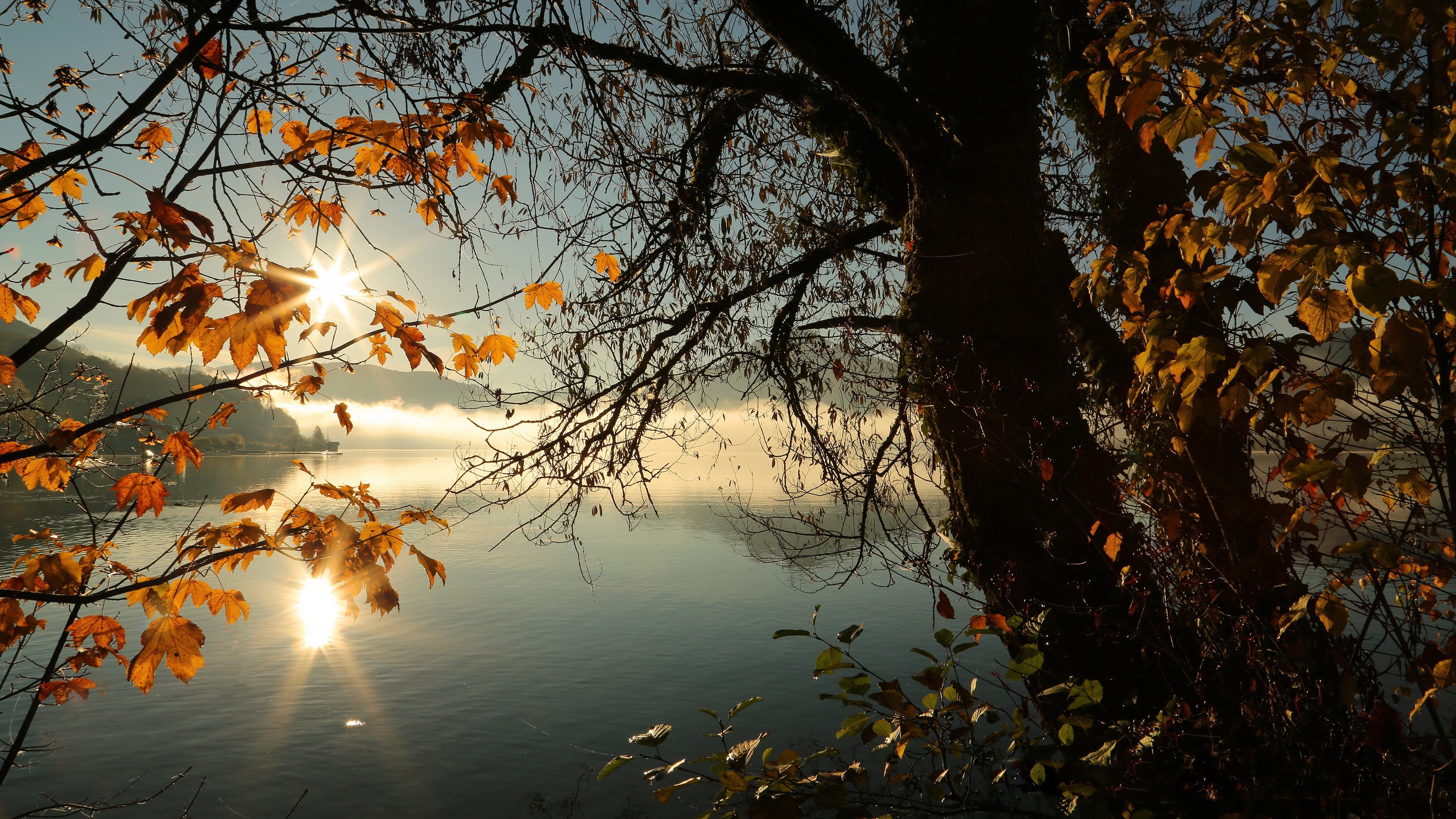 Autumn lake with sunbeams through trees HD Wallpaper