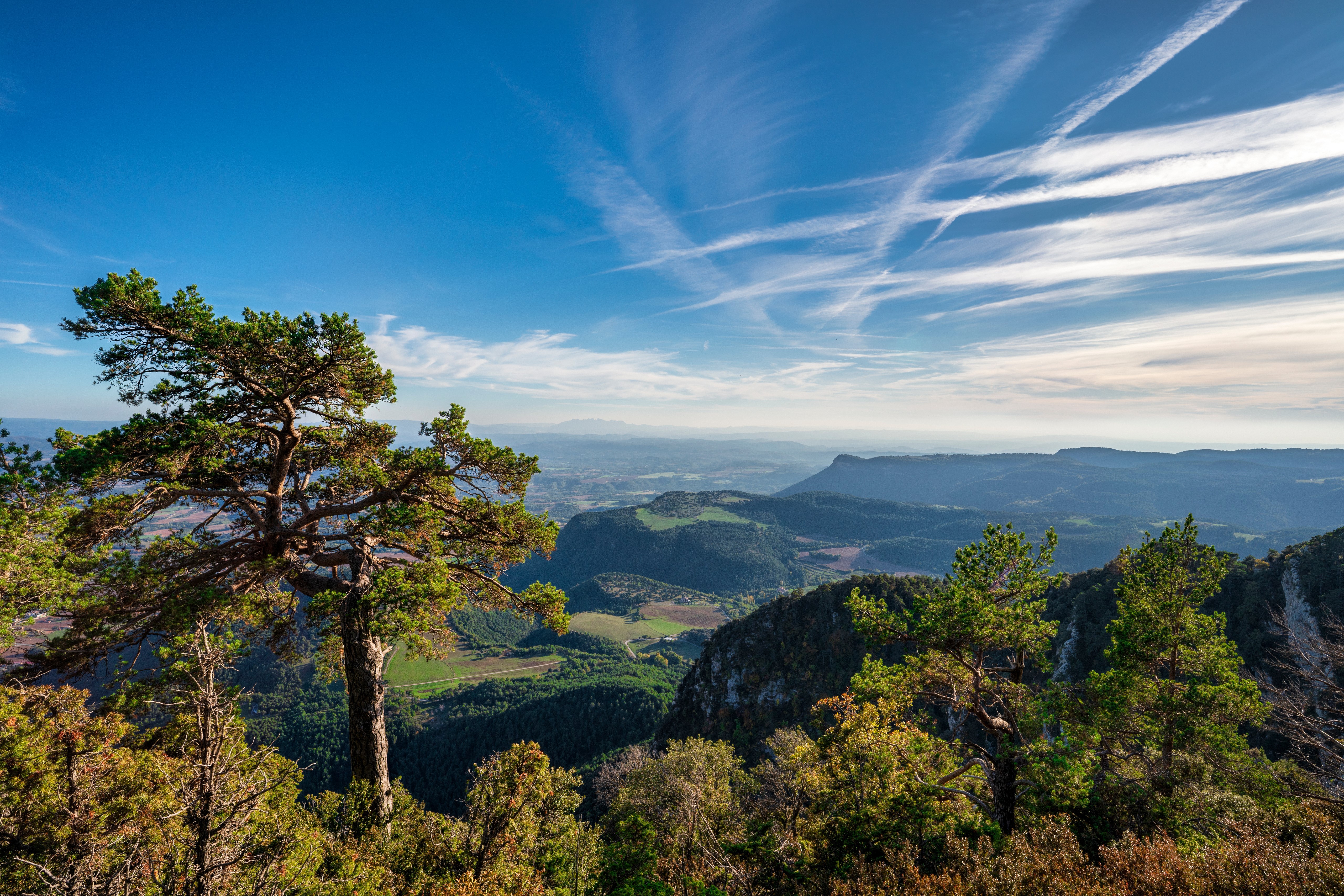 Mountains and Trees in Catalonia, Spain HD Wallpaper