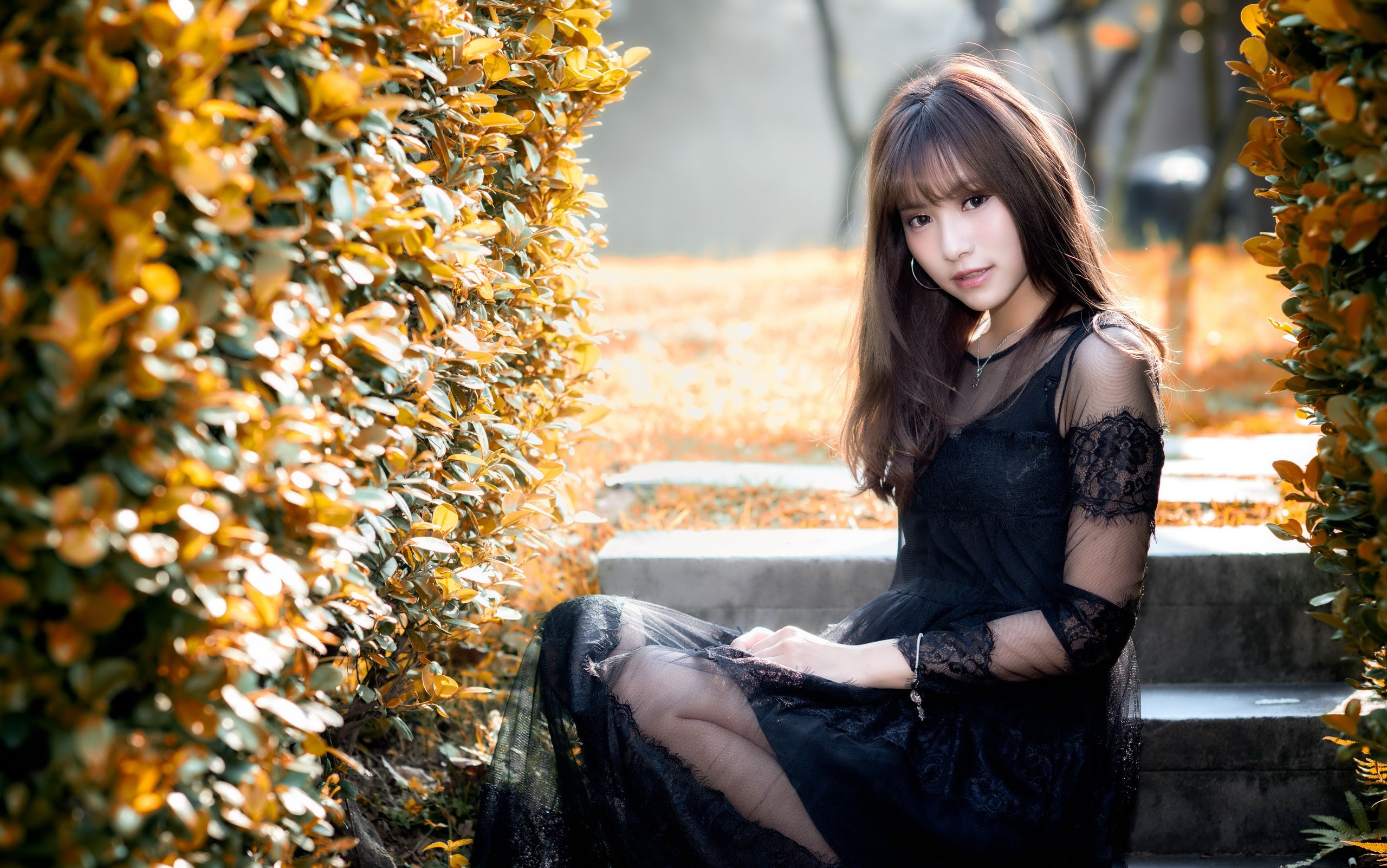 Asian Woman Sitting Among Golden Shrubs HD Wallpaper