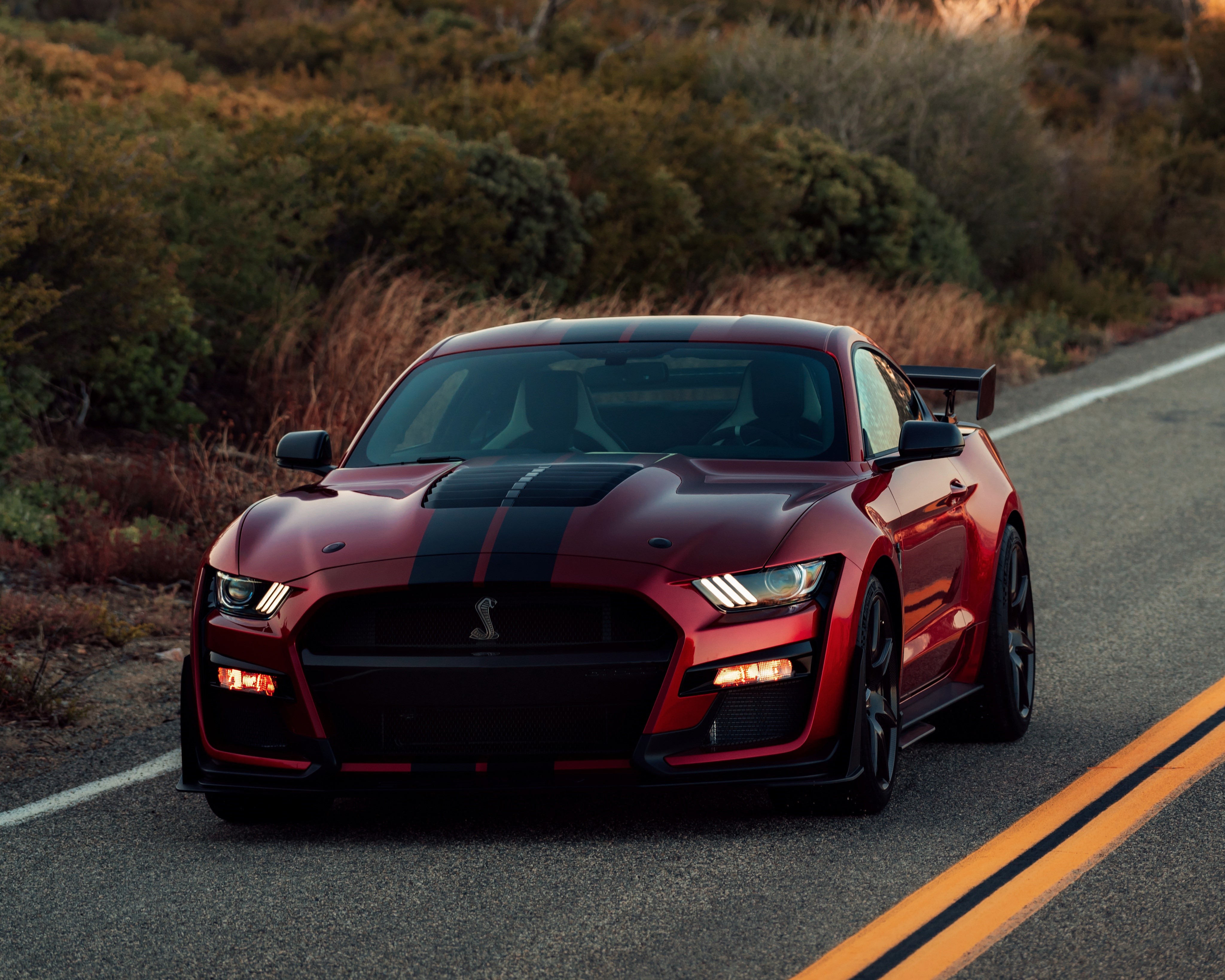 2019 Ford Mustang Shelby GT500 in Red HD Wallpaper
