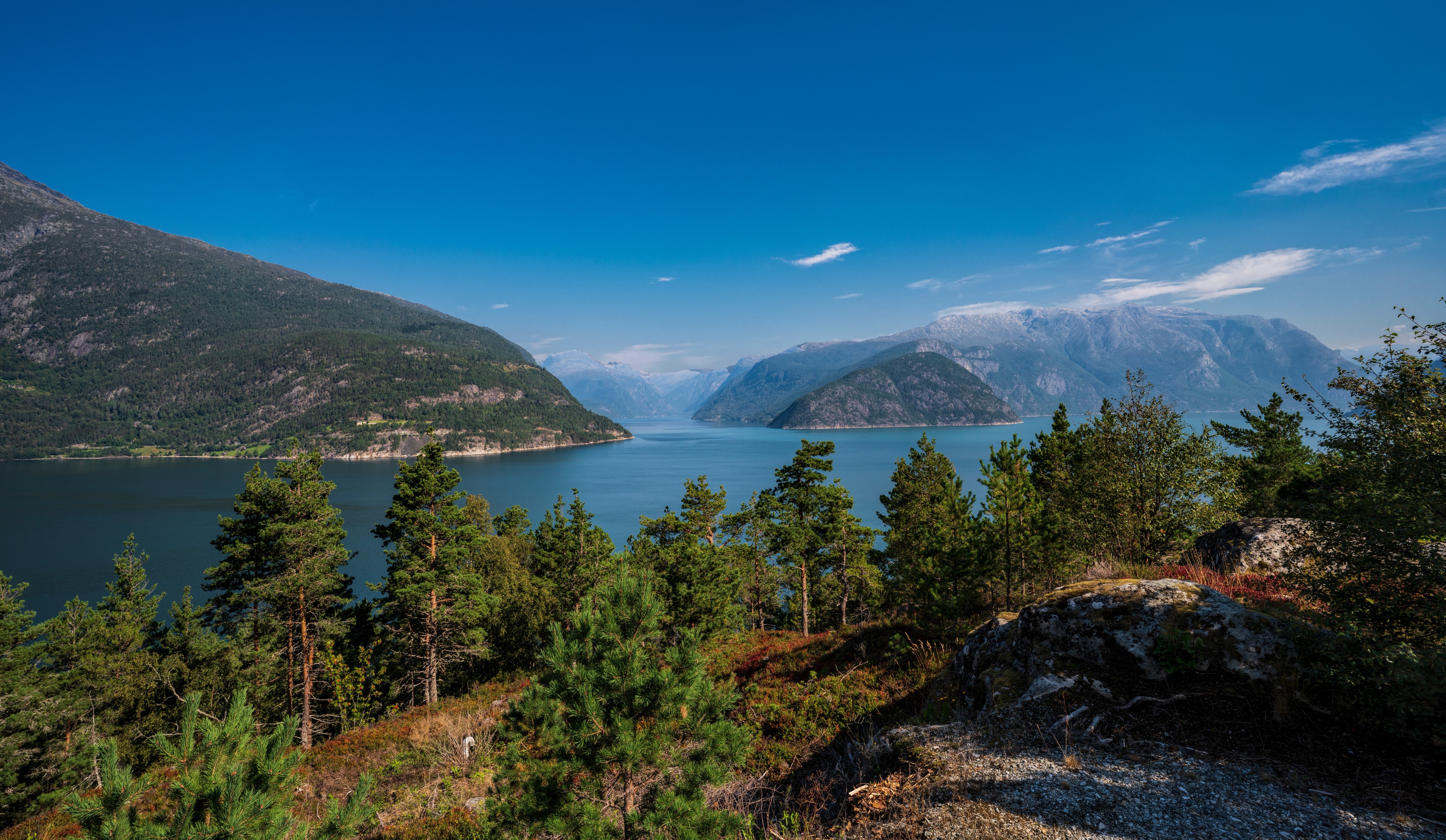 Hardangerfjorden, Norway, Mountains, Trees, Fjord HD Wallpaper