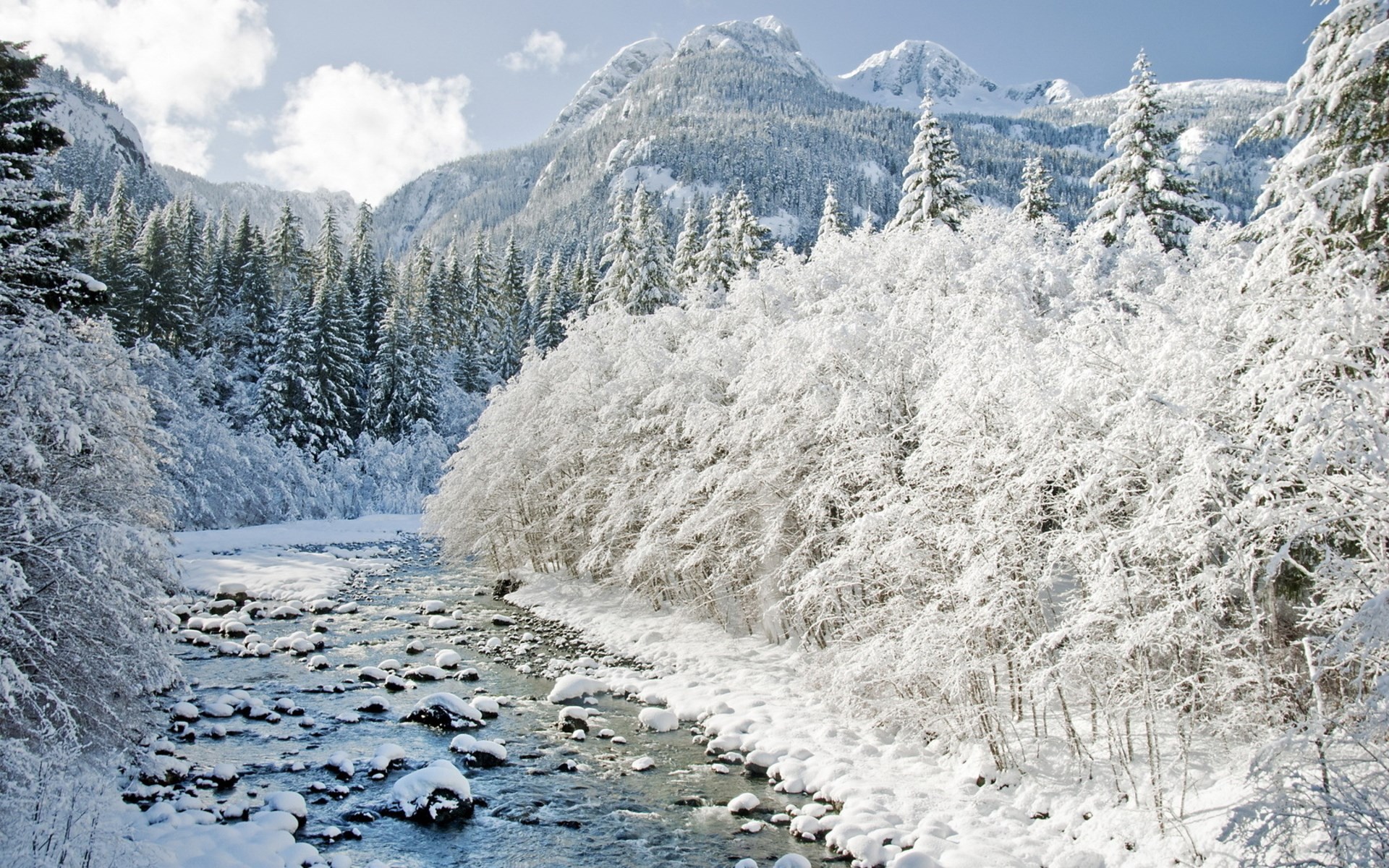 Snowy mountain landscape with a river and evergreen trees HD Wallpaper
