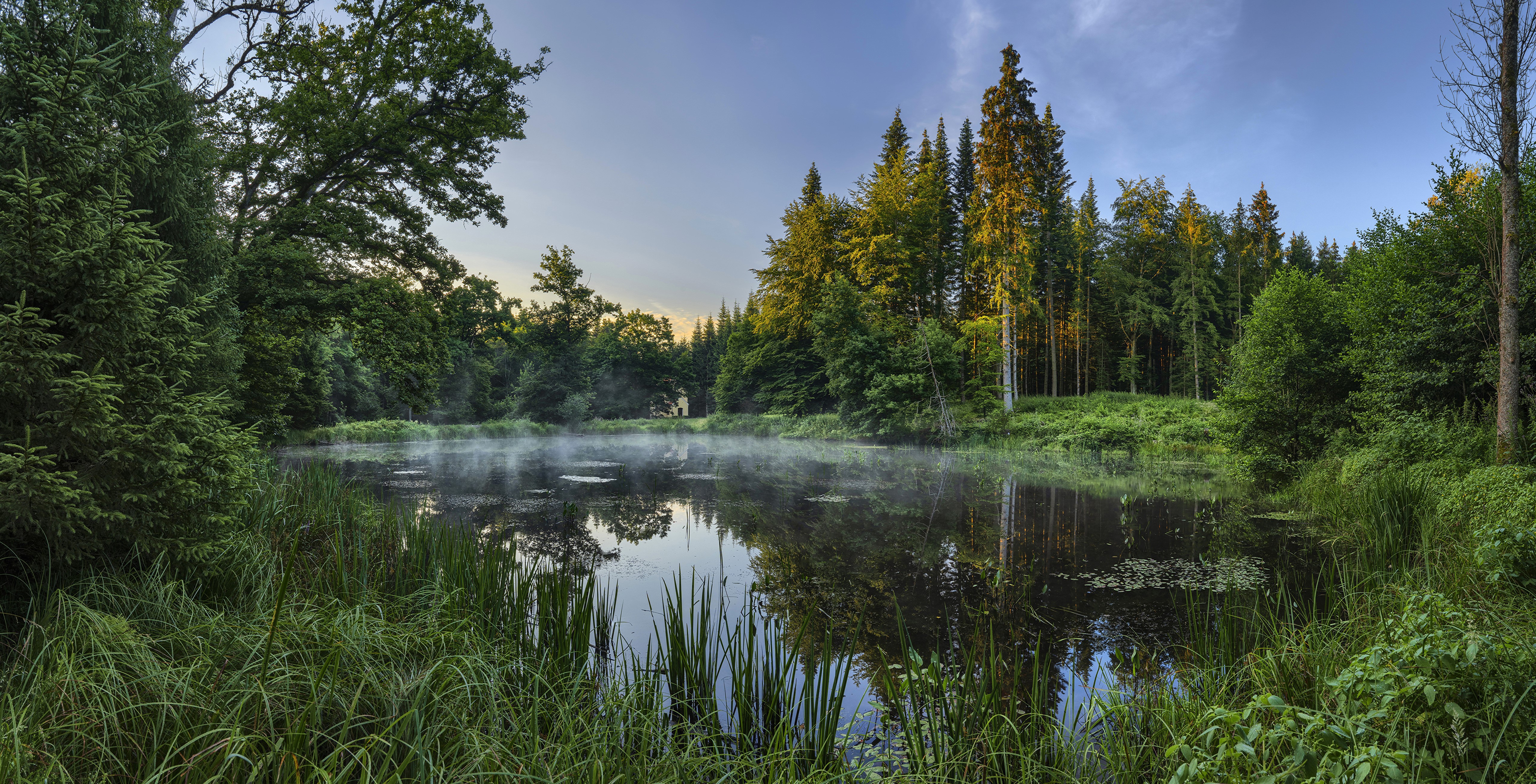 Lake and forest in Bavaria, Germany HD Wallpaper