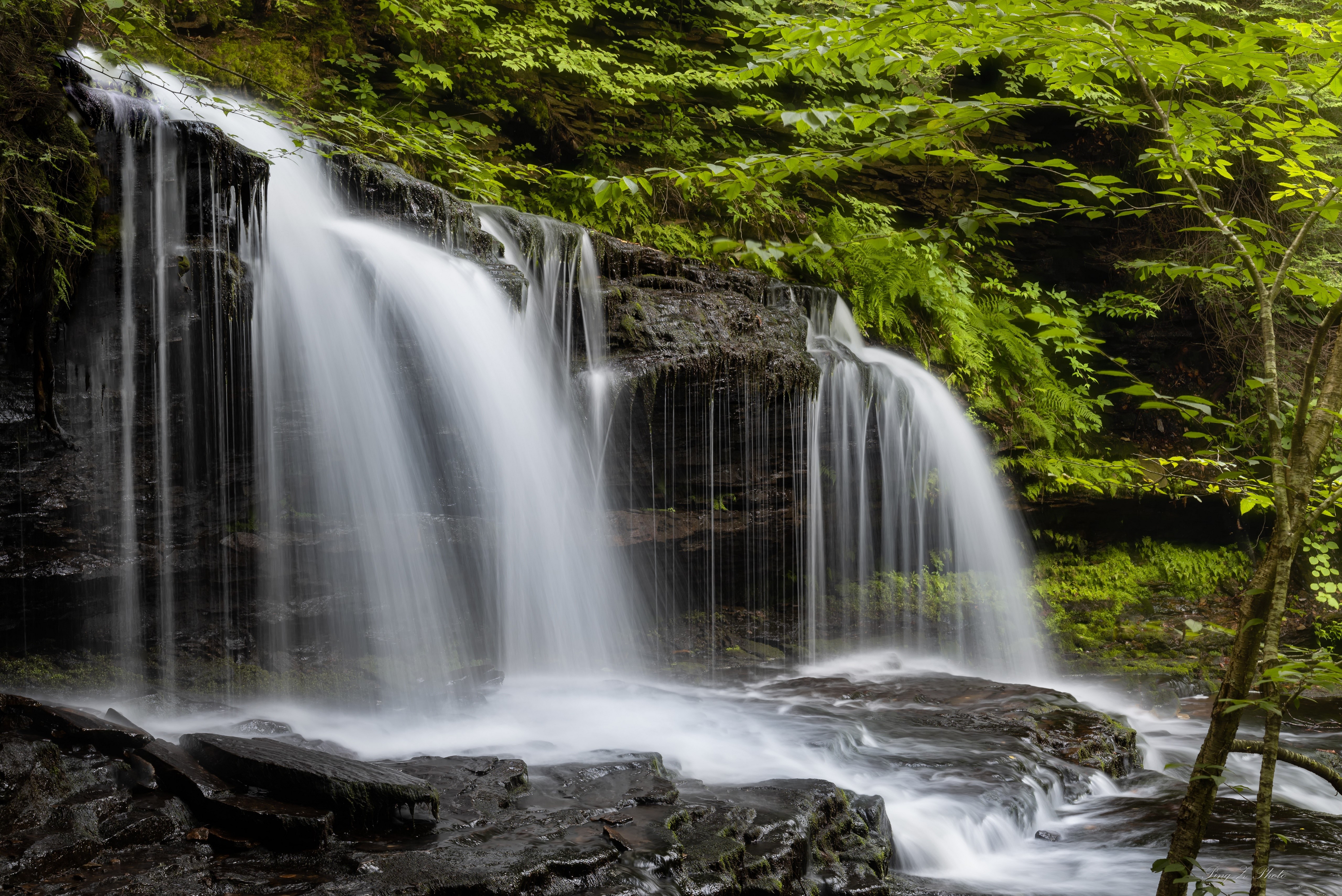 Waterfall at Ricketts Glen State Park HD Wallpaper