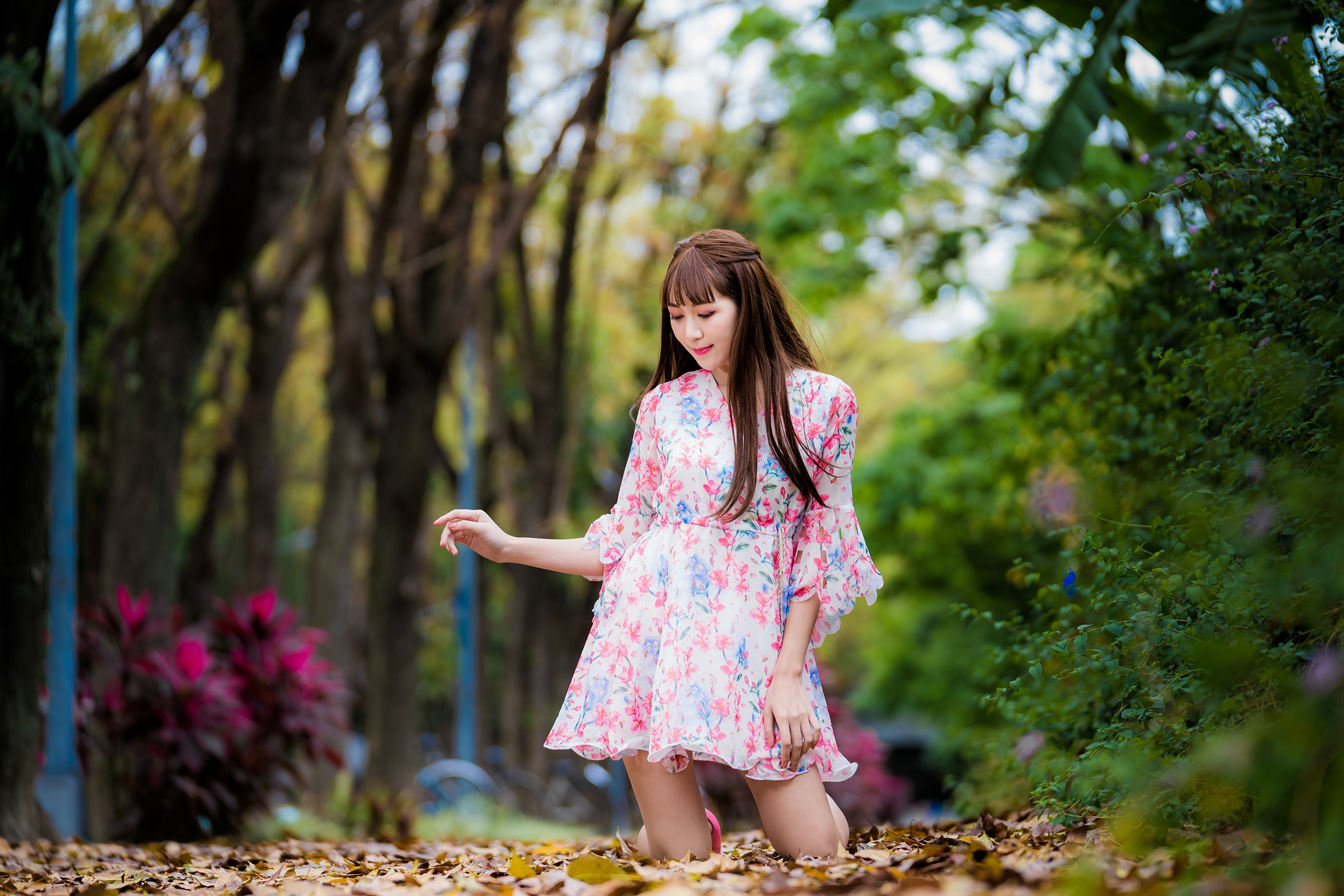 Asian woman in floral dress kneeling in autumn foliage HD Wallpaper