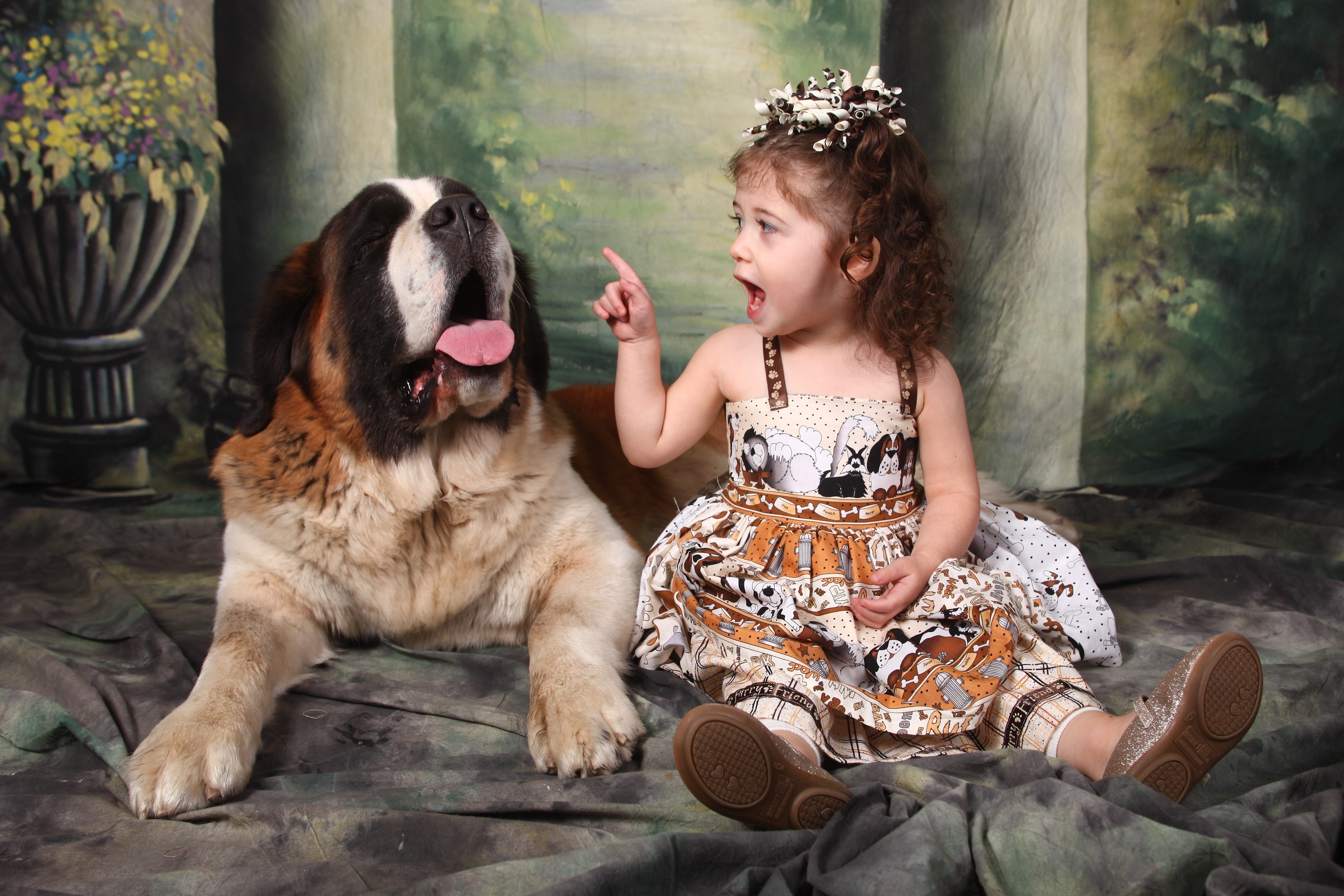 Little Girl and St. Bernard Dog HD Wallpaper