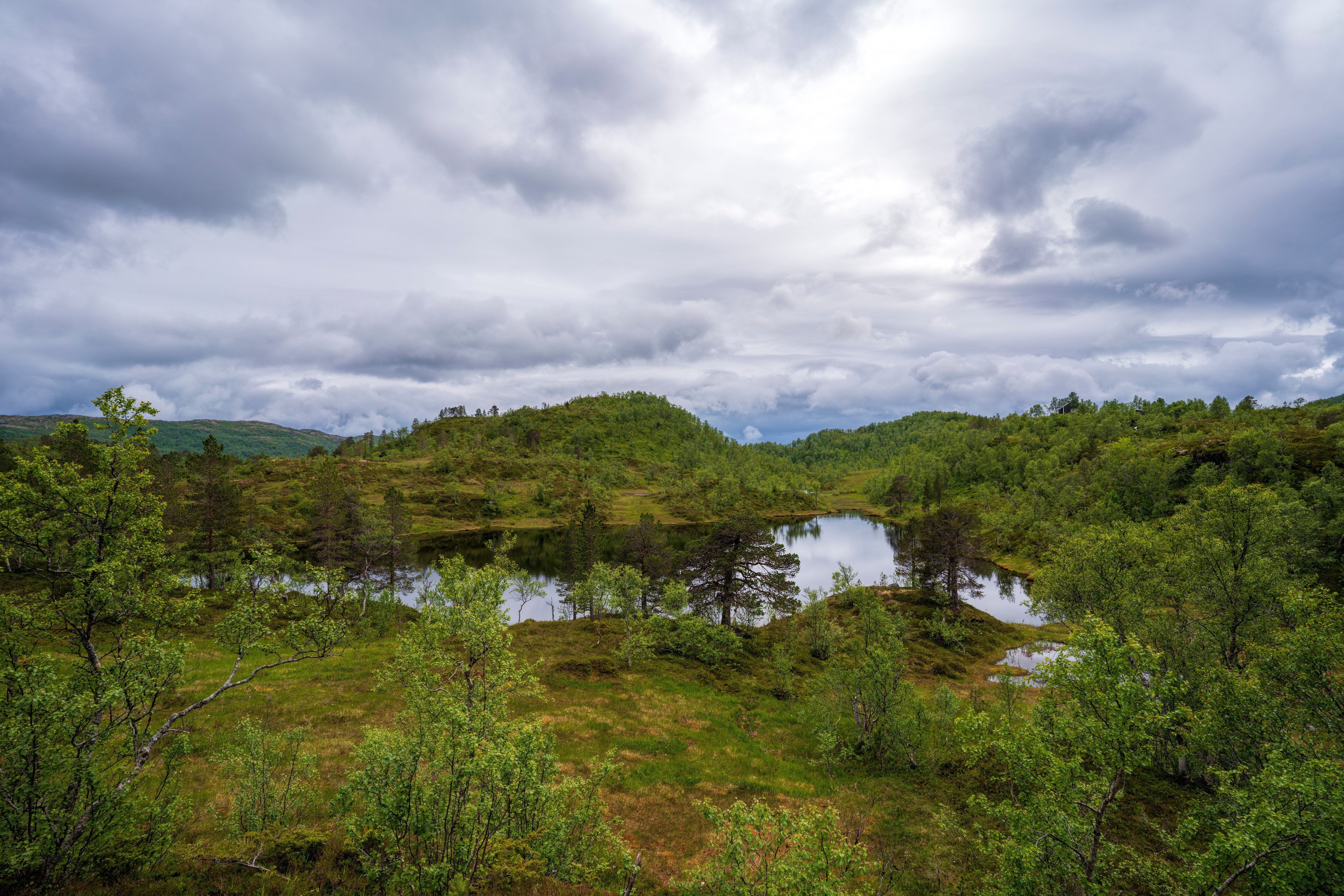 Sjunkhatten National Park, Norway, Trees, Clouds HD Wallpaper