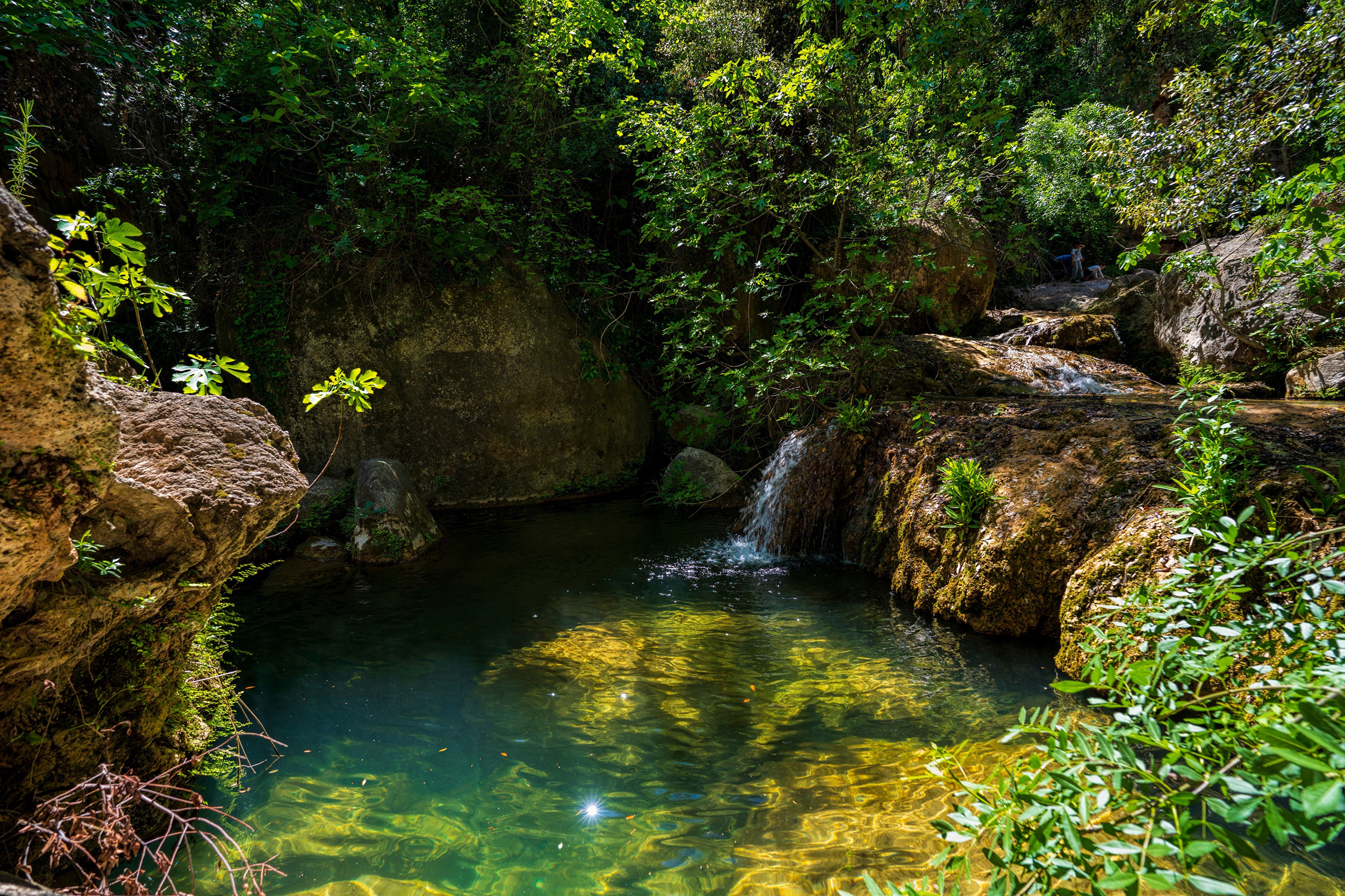 4K Spain Stream Stones Trees HD Wallpaper
