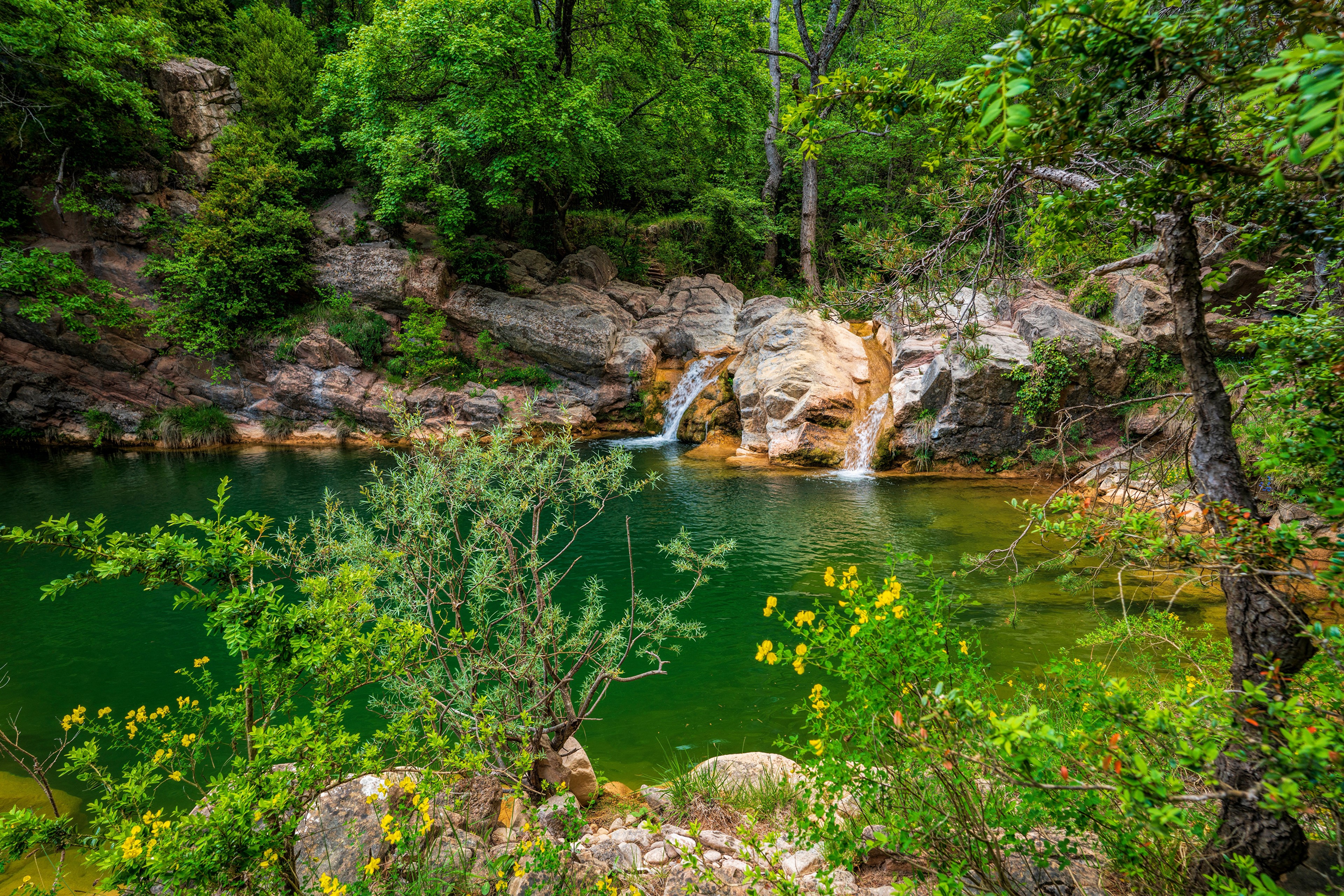 Waterfalls in a forest in Catalonia, Spain HD Wallpaper