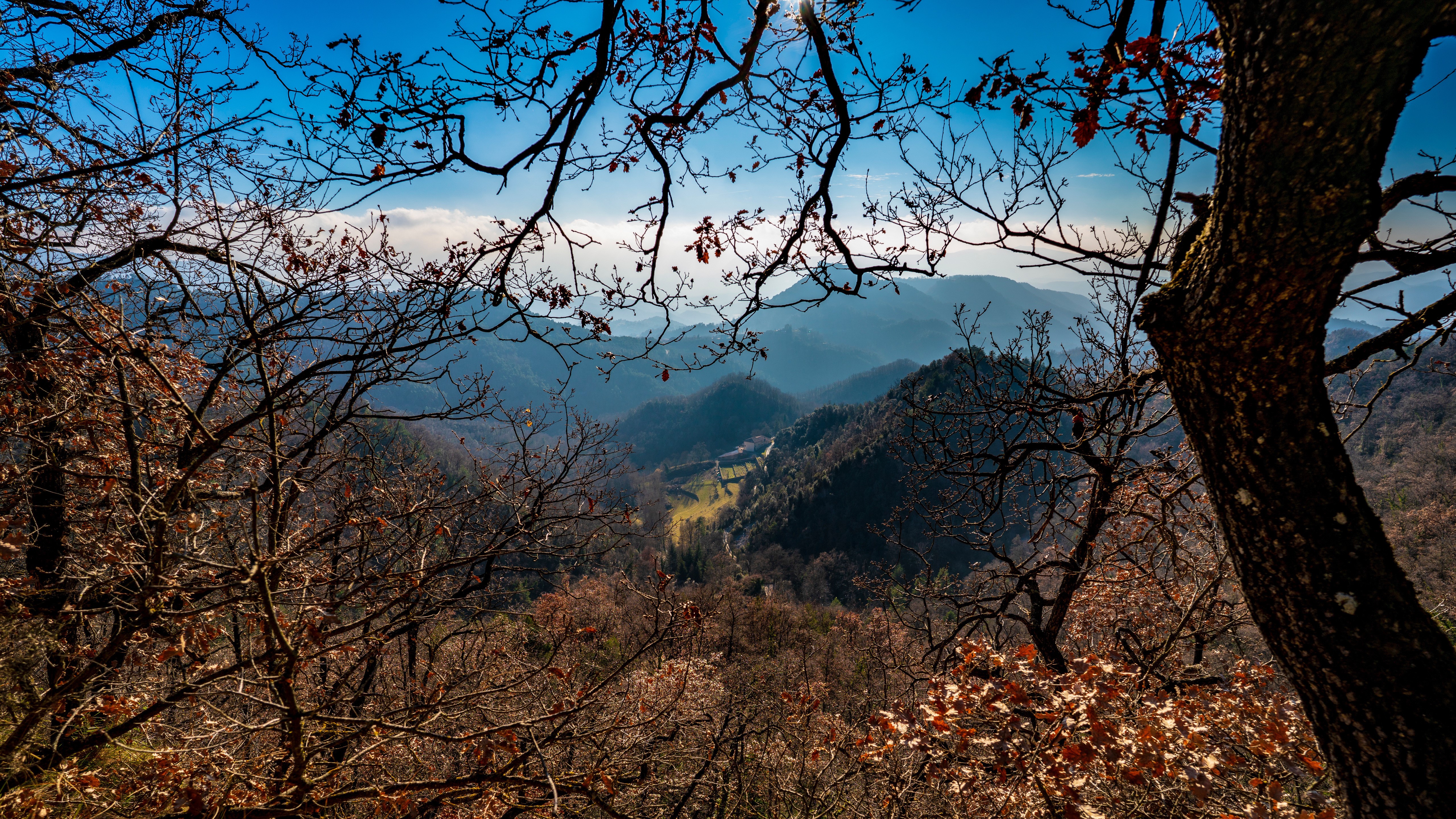Mountains and Trees in Santa Maria de Besora, Spain HD Wallpaper