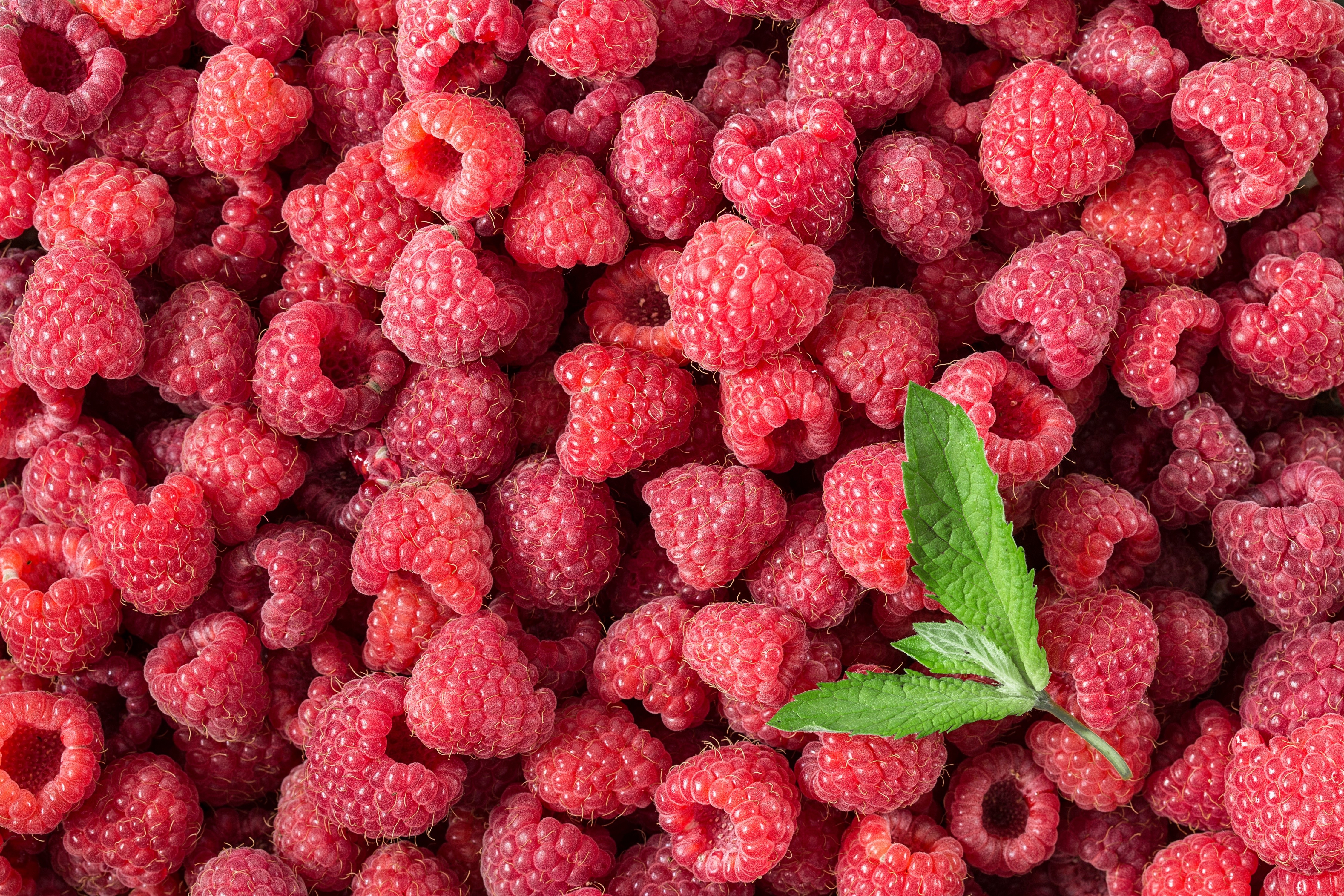 Many Raspberries Closeup 4K HD Wallpaper