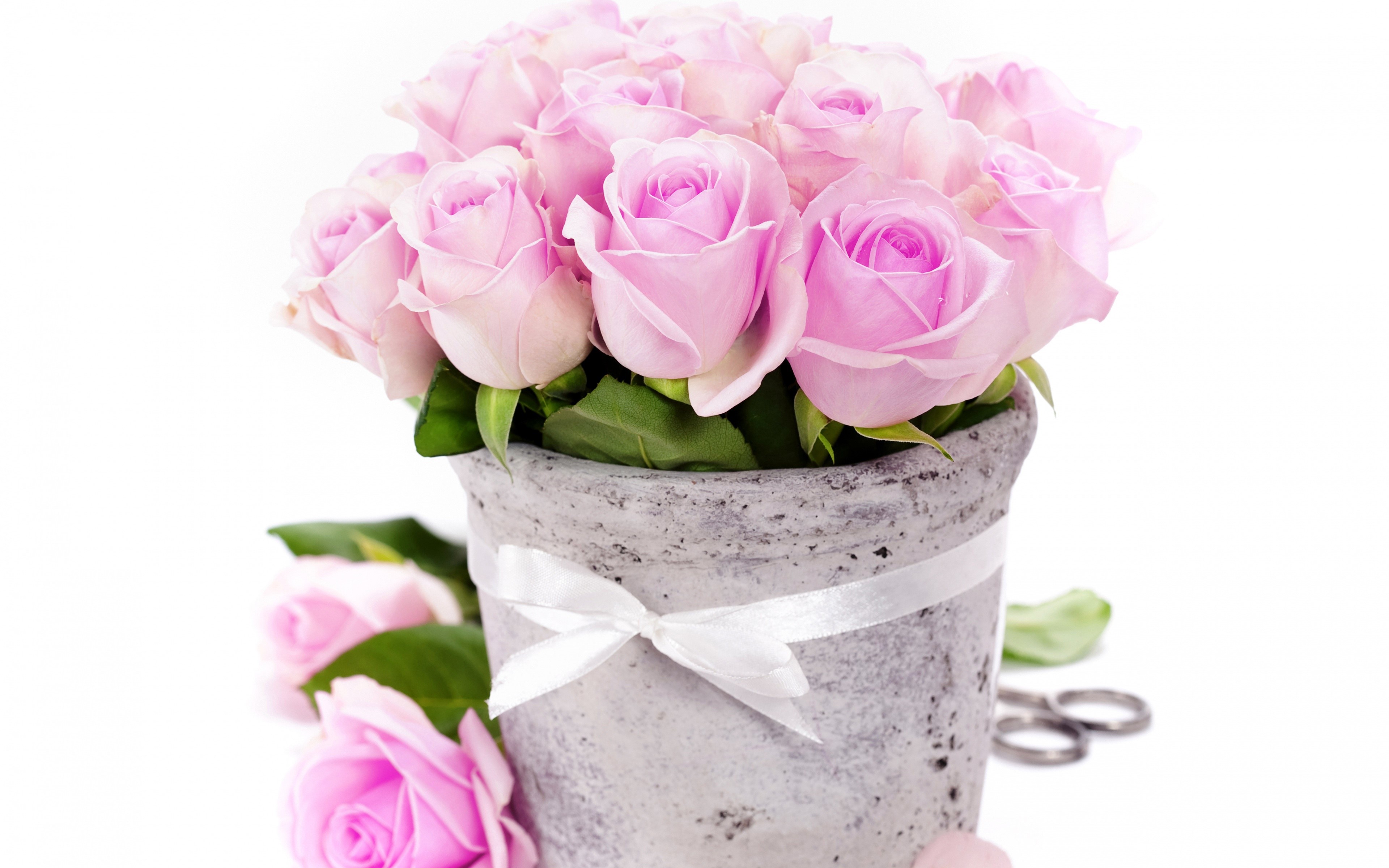 Pink Roses Bouquet in a Pot HD Wallpaper