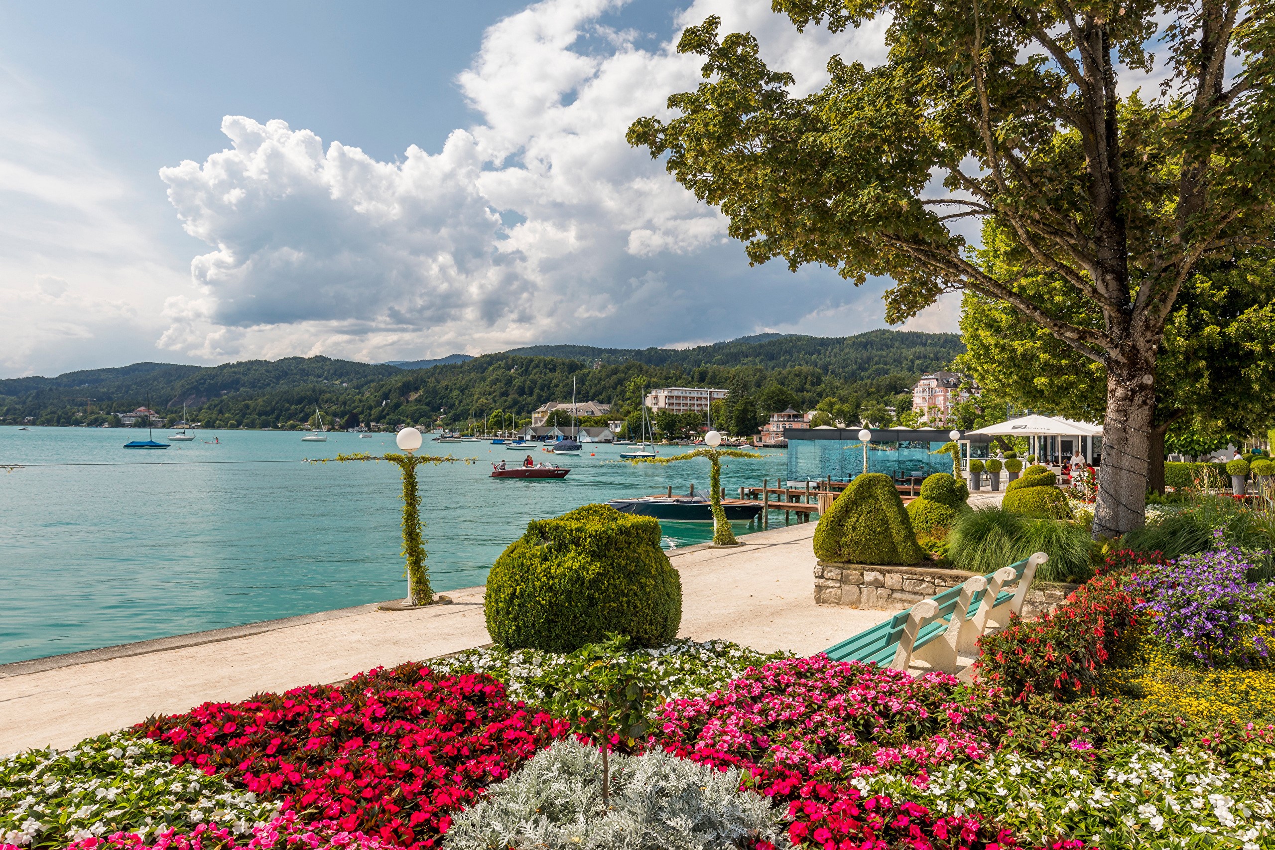Lake Wörthersee with boats and flowers in Austria HD Wallpaper