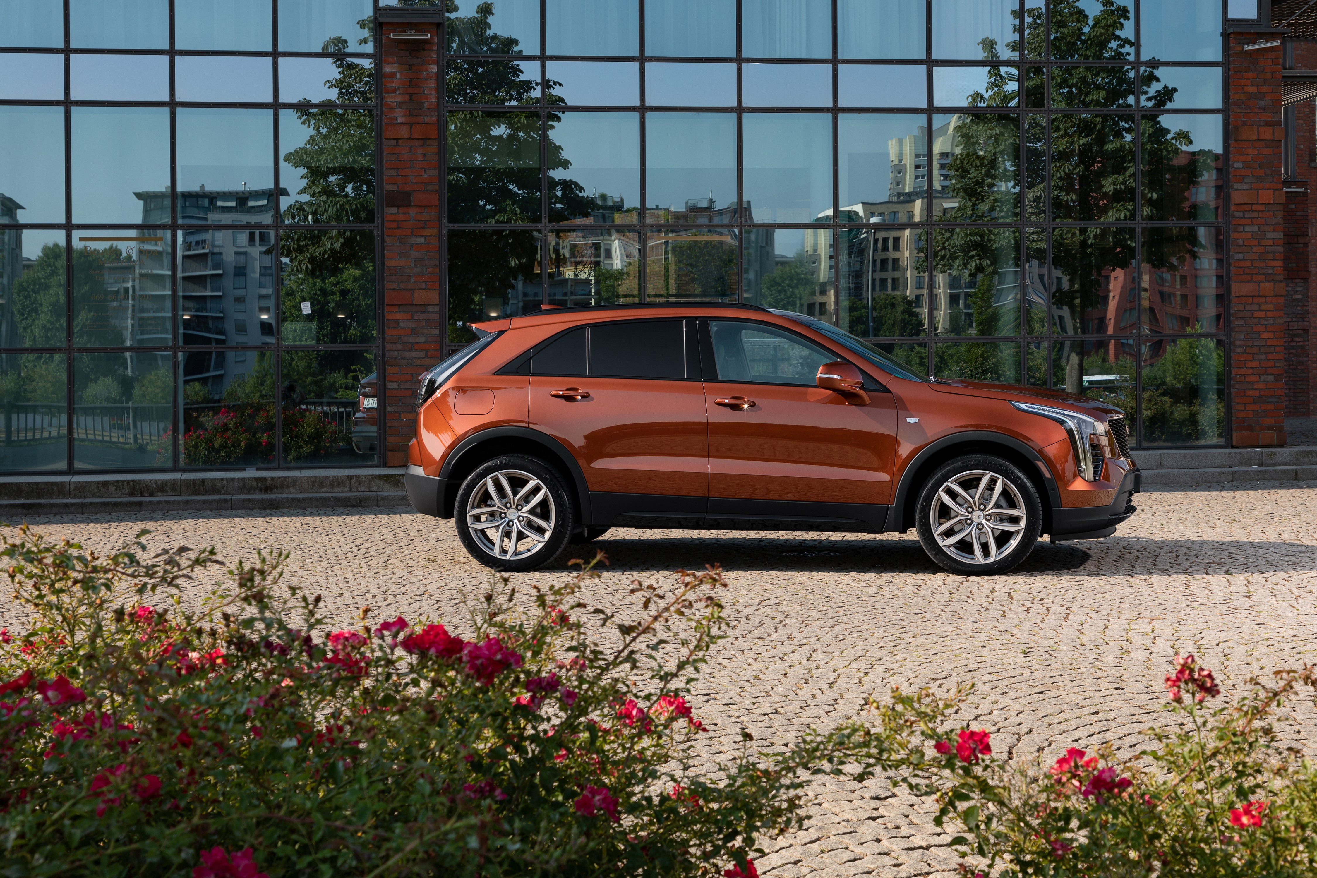 Cadillac XT4 Crossover in Metallic Brown HD Wallpaper