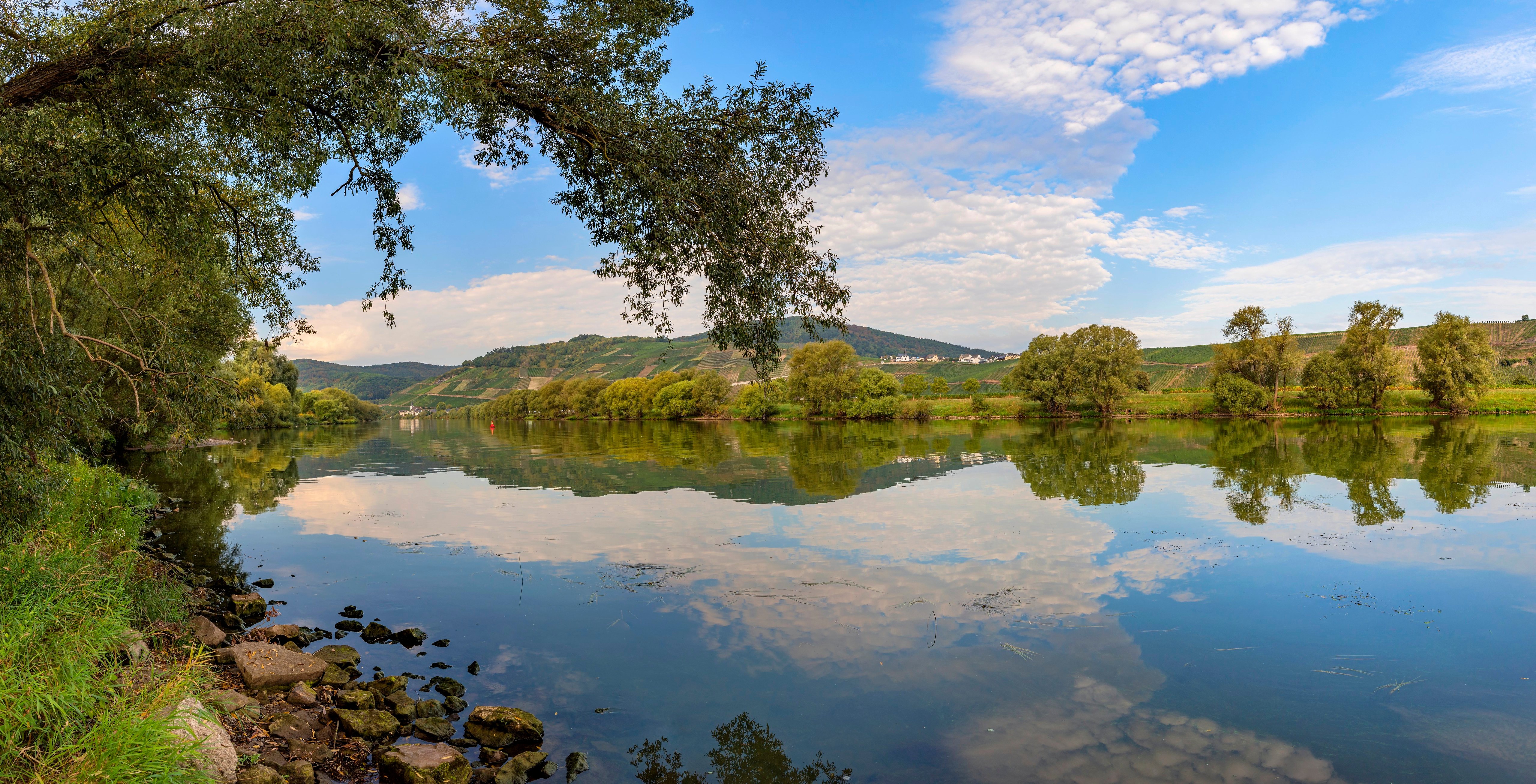 Mosel River in Germany with reflection HD Wallpaper