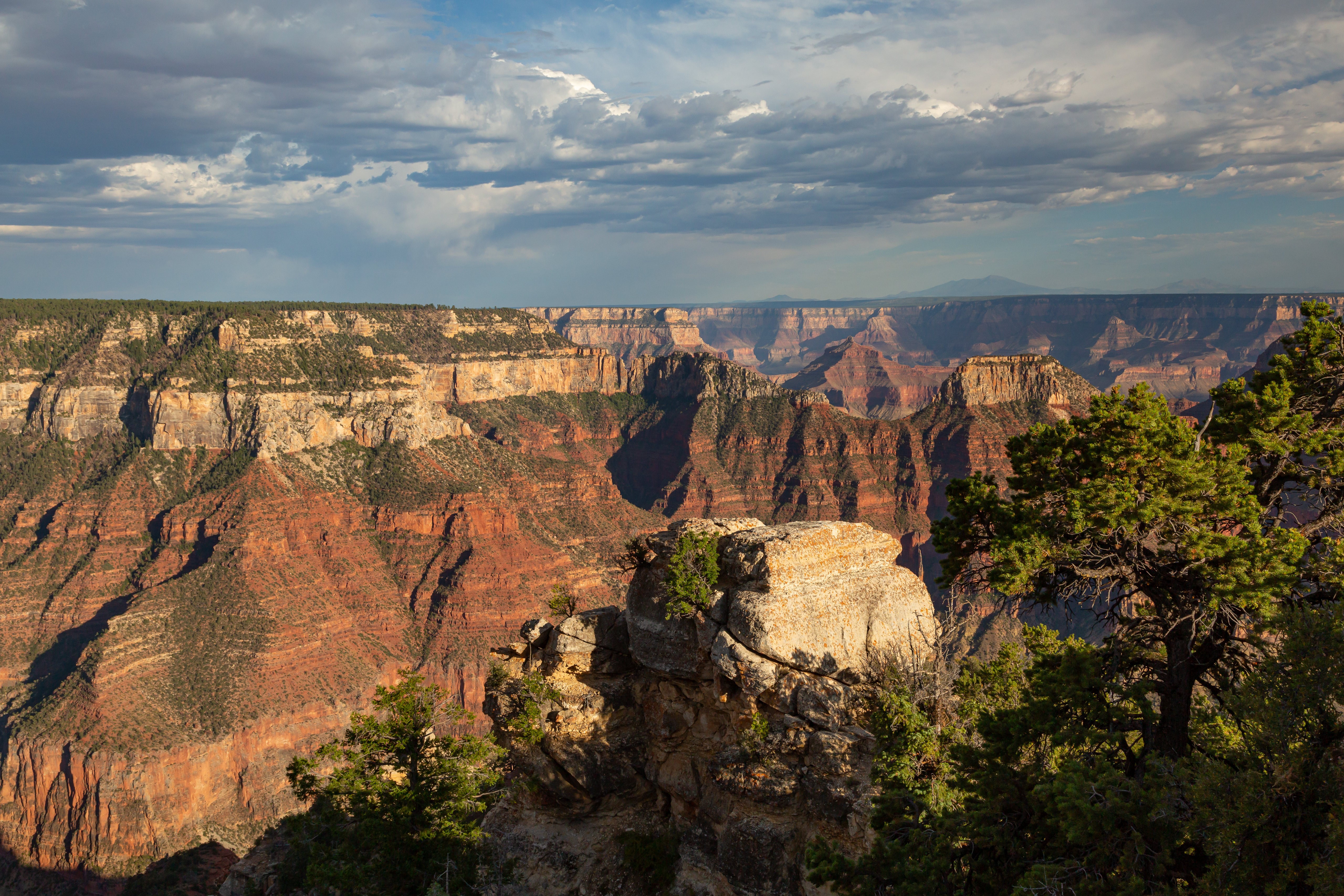 Grand Canyon National Park, Arizona, USA HD Wallpaper