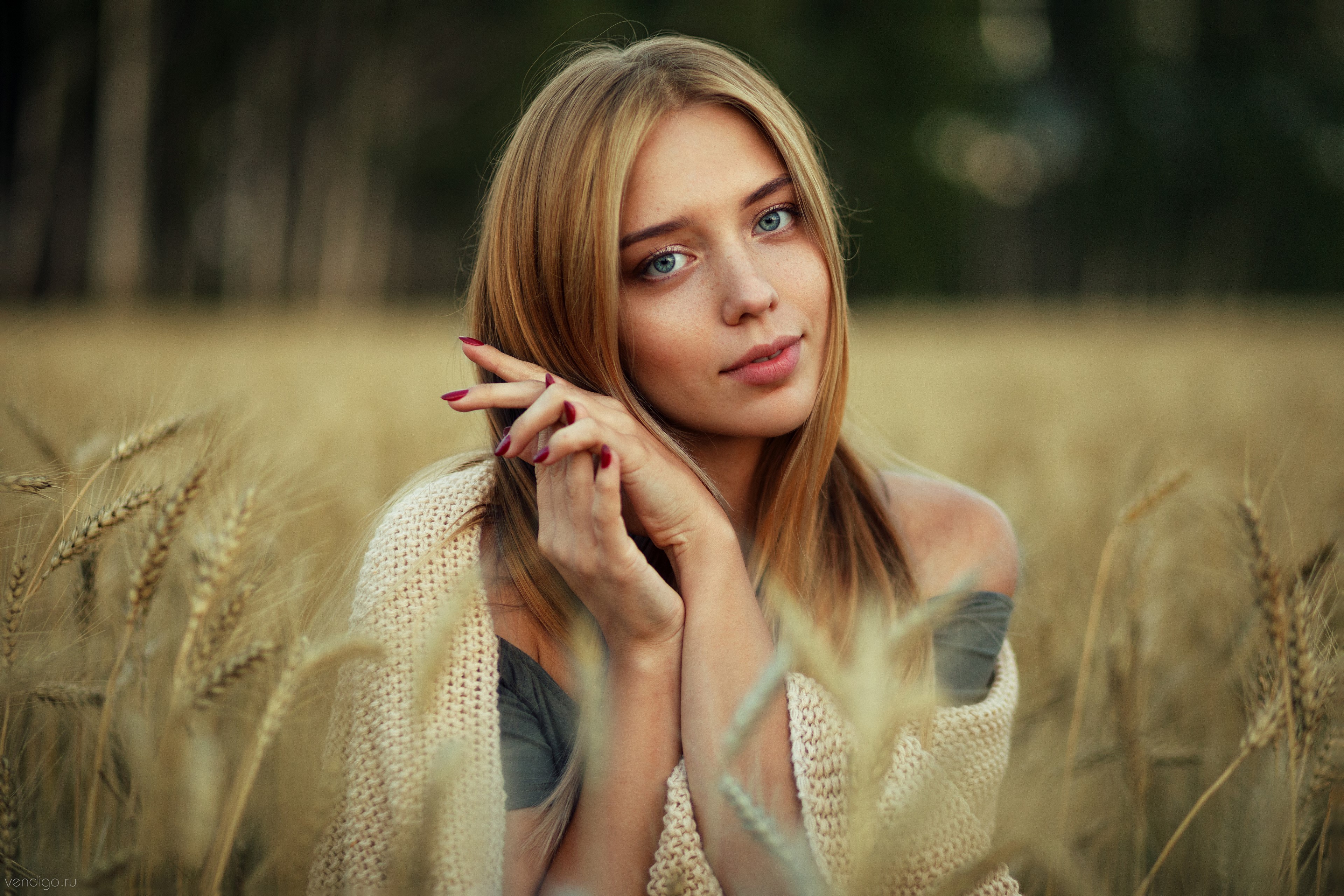 Nastya in a wheat field HD Wallpaper