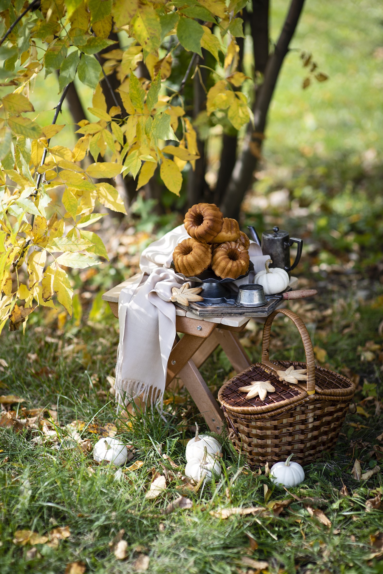 Autumn picnic with bundt cakes and pumpkins HD Phone Wallpaper