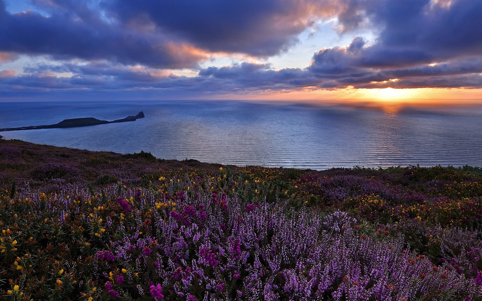 Worm's Head Gower Peninsula at sunset with heather HD Wallpaper
