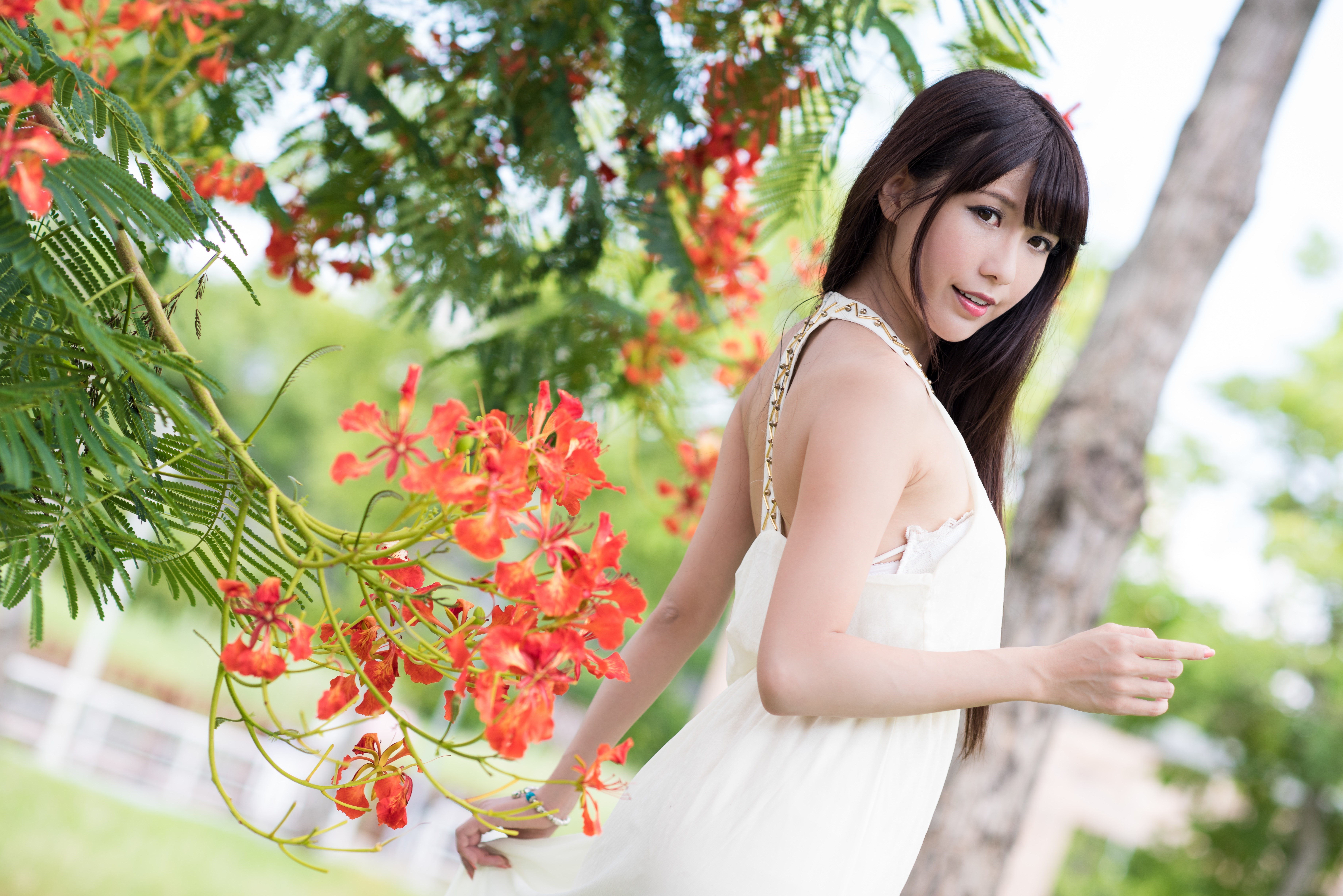 Brunette girl in white dress near orange flowers HD Wallpaper
