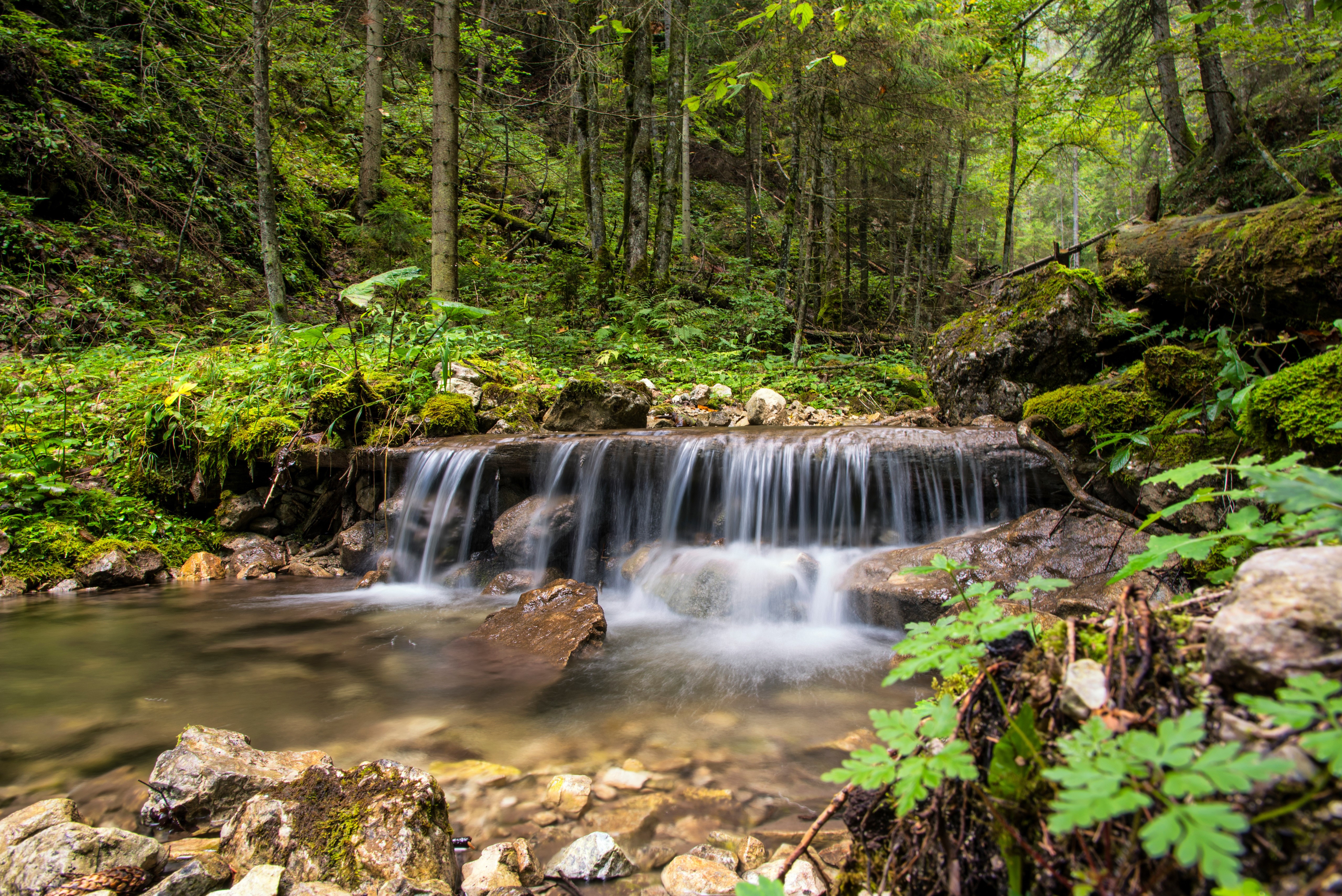 Waterfall in a forest near Spisska Nova Ves, Slovakia HD Wallpaper