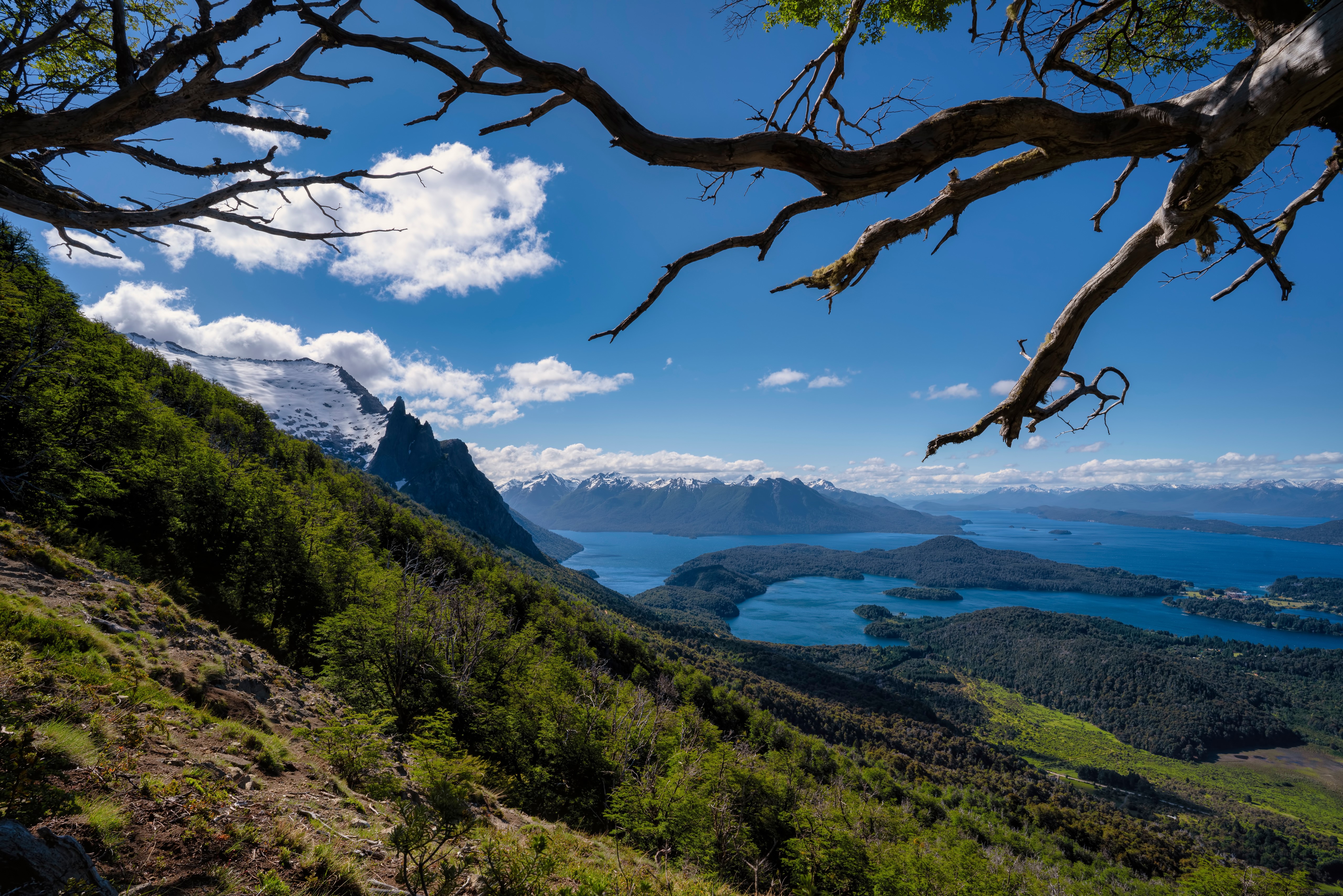 Bariloche Patagonia Argentina Mountains Lake Scenery Branches HD Wallpaper