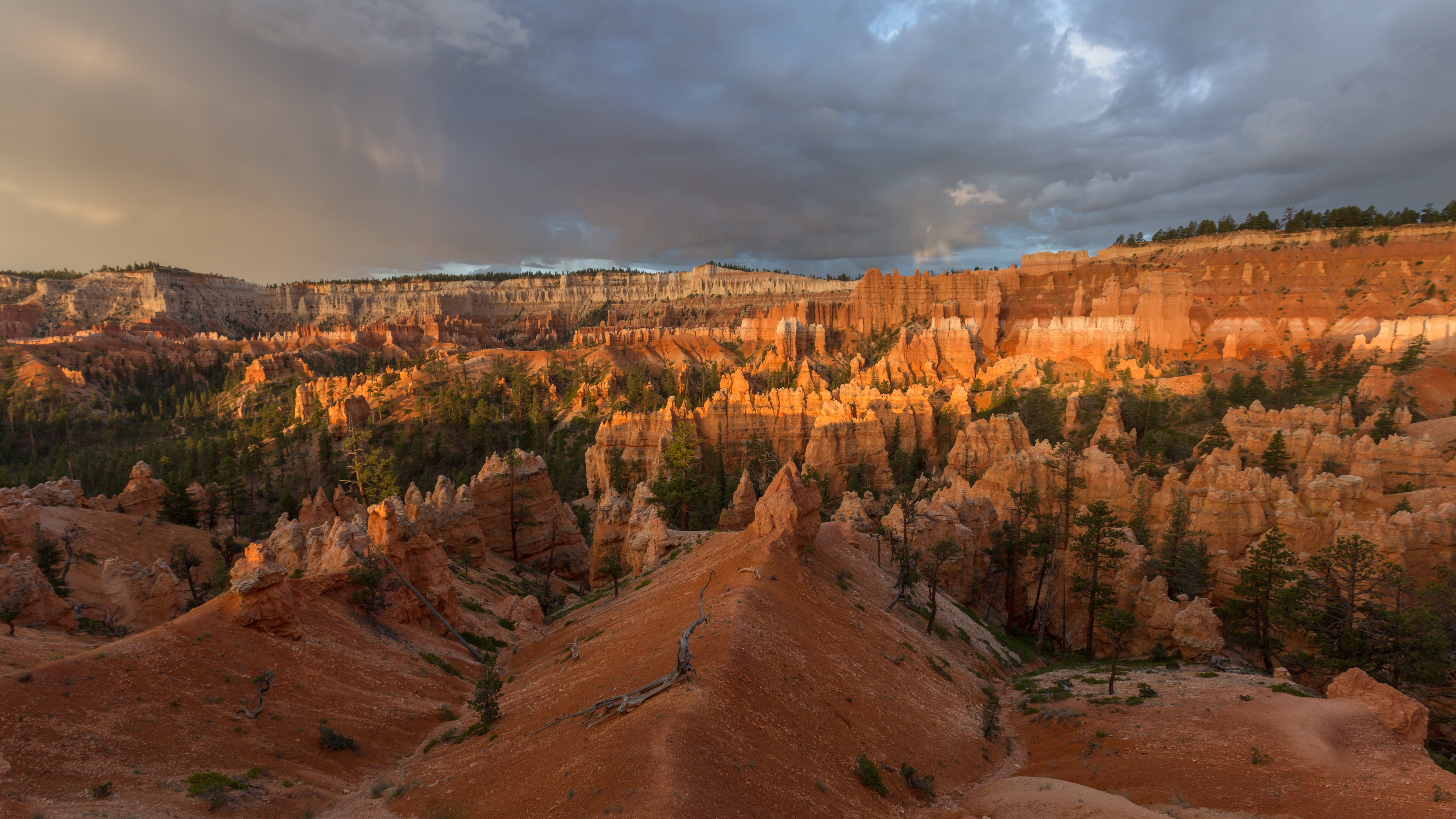 4K Scenic View of Bryce Canyon National Park HD Wallpaper