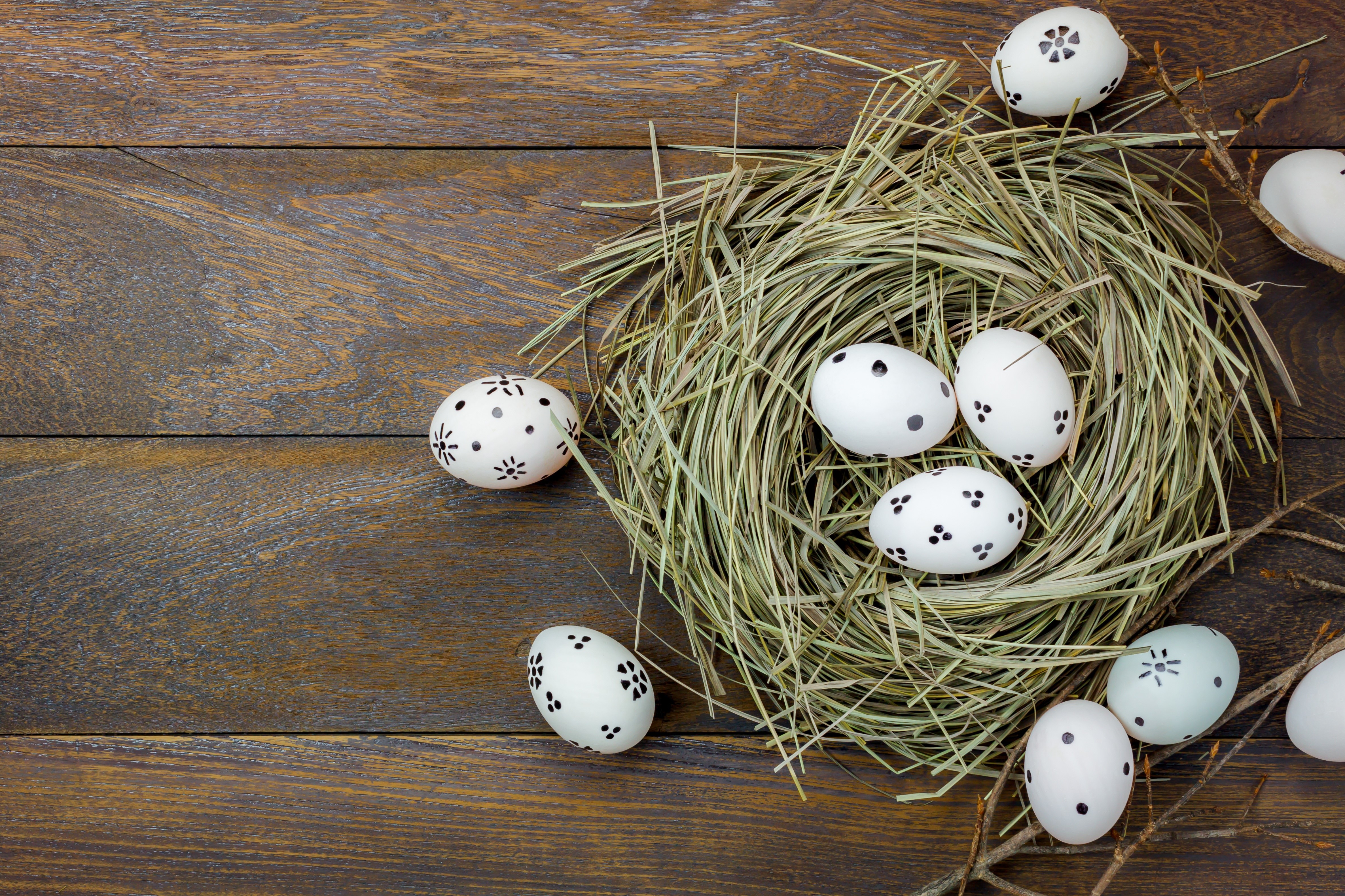 Easter Eggs in a Nest on Wood Planks HD Wallpaper