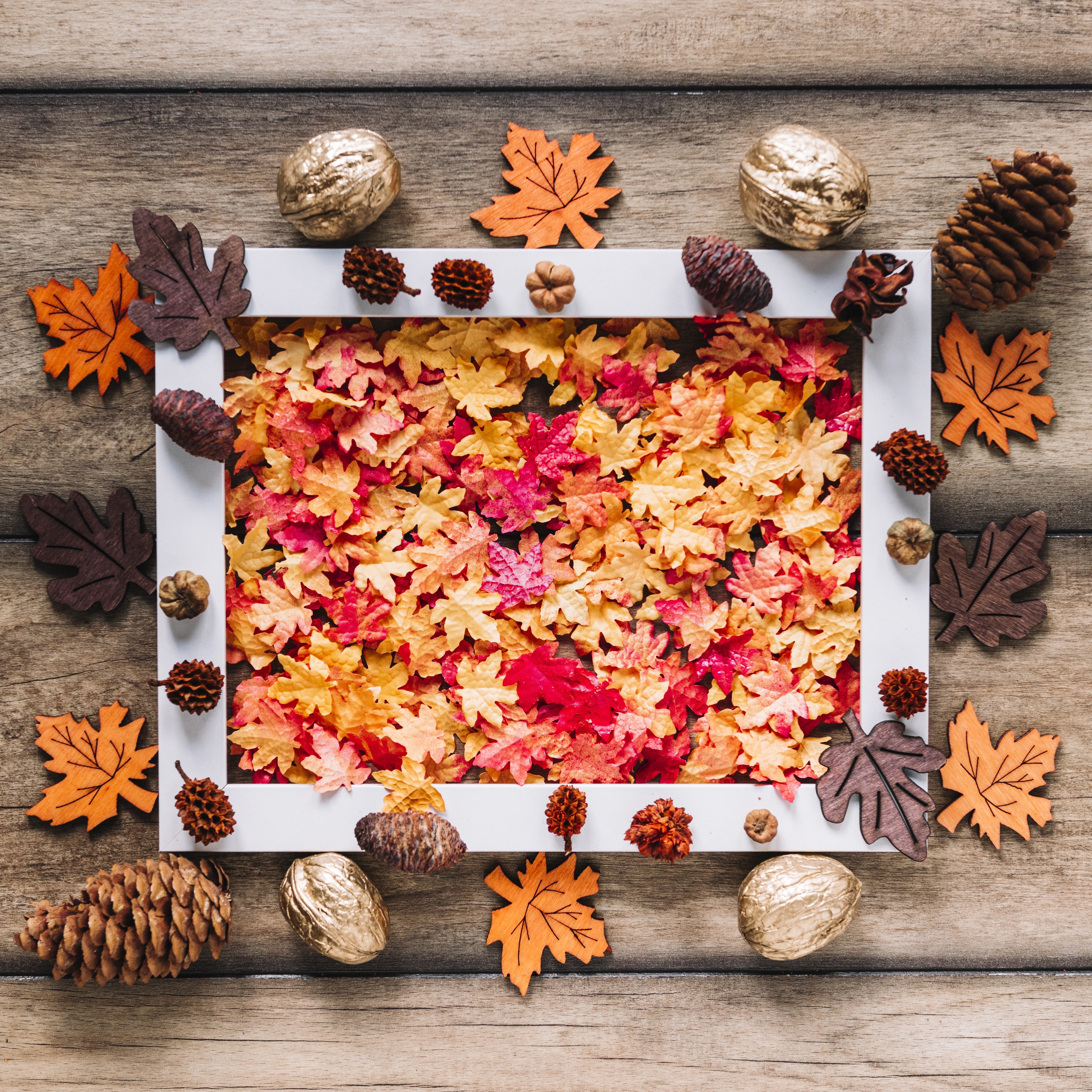 Autumn Maple Foliage with Pine Cones and Walnuts HD Wallpaper
