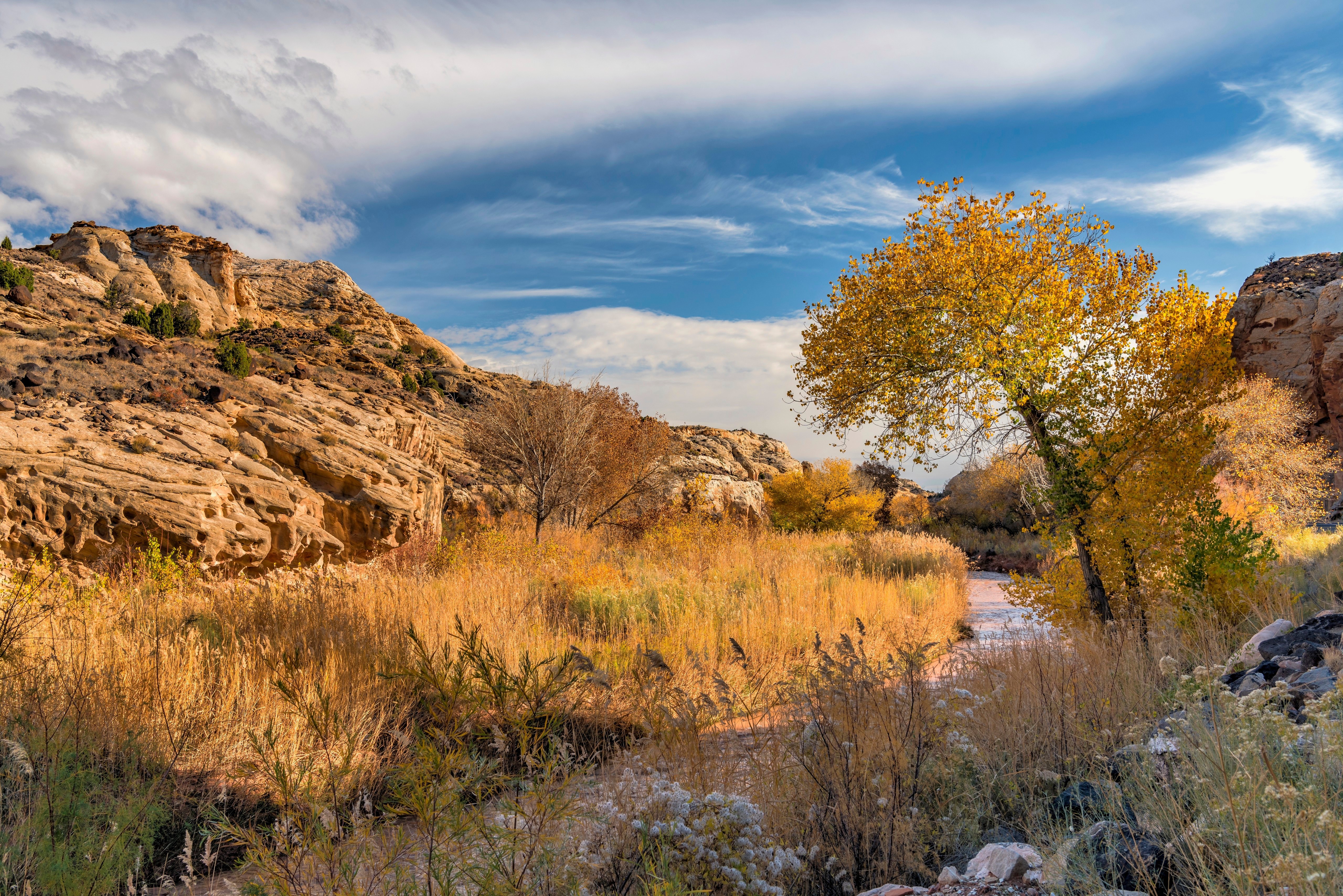 Autumn landscape in Capitol Reef National Park with river and trees HD Wallpaper