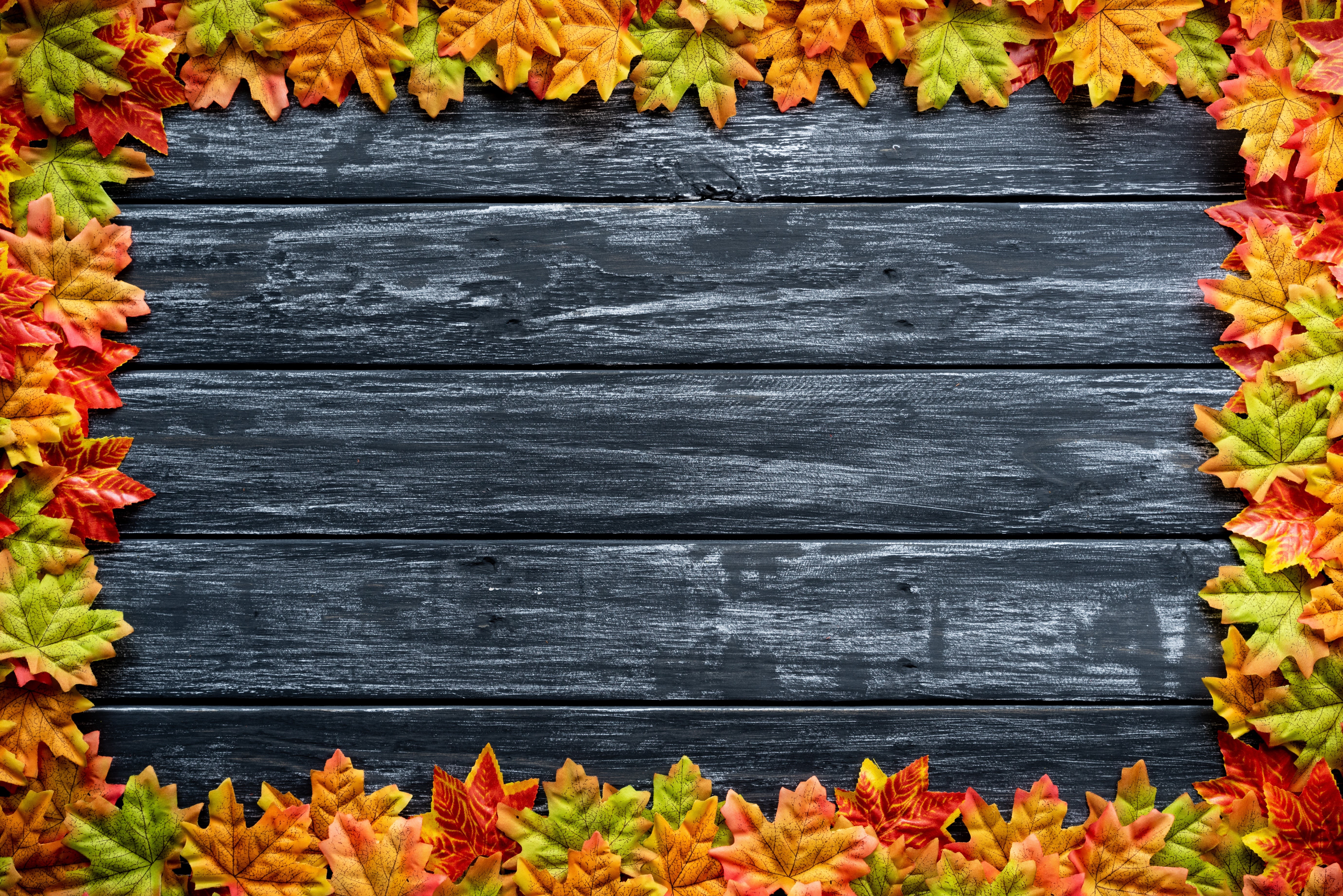 4K Autumn Maple Foliage on Wood Planks HD Wallpaper