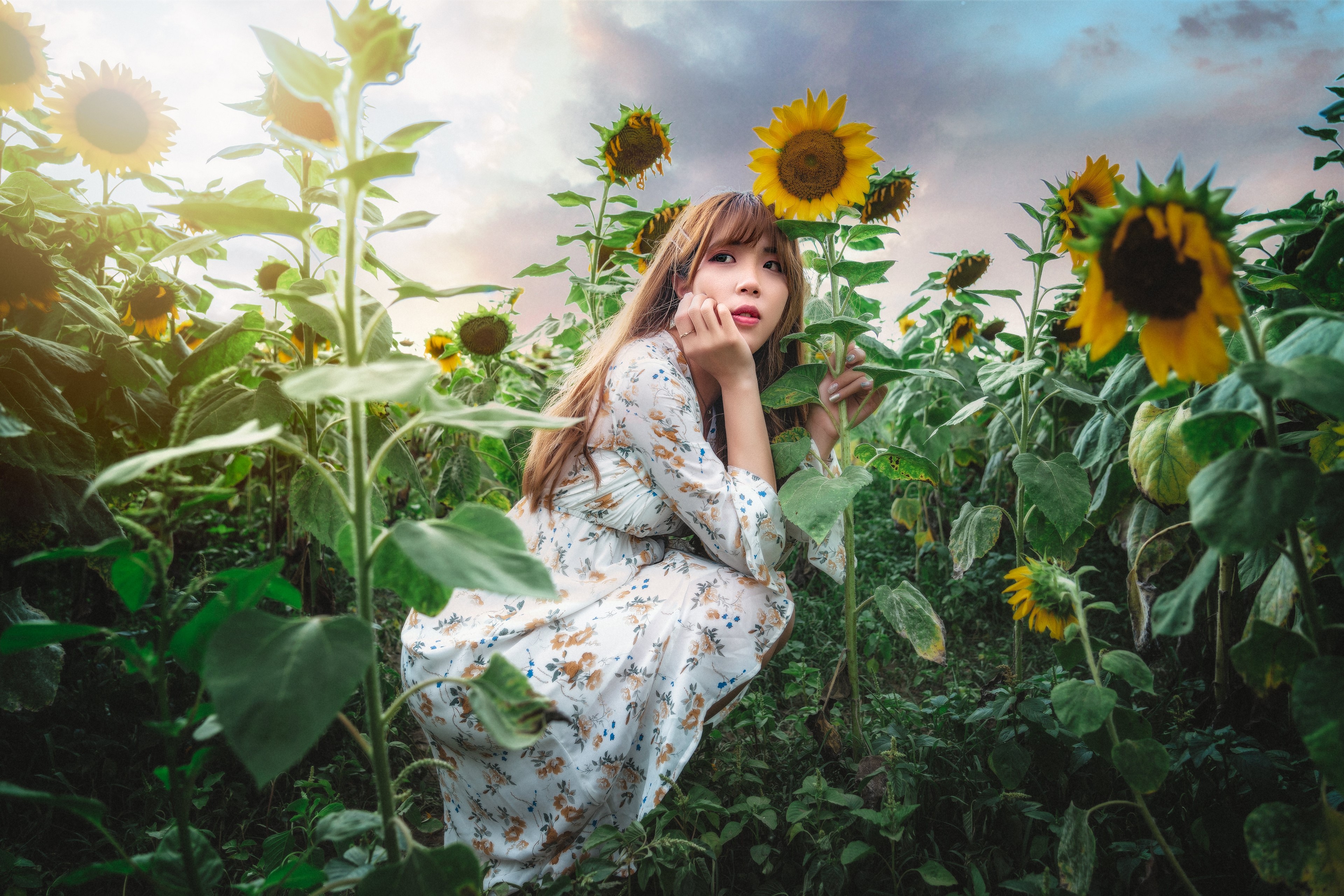 Asian woman in dress in sunflower field HD Wallpaper
