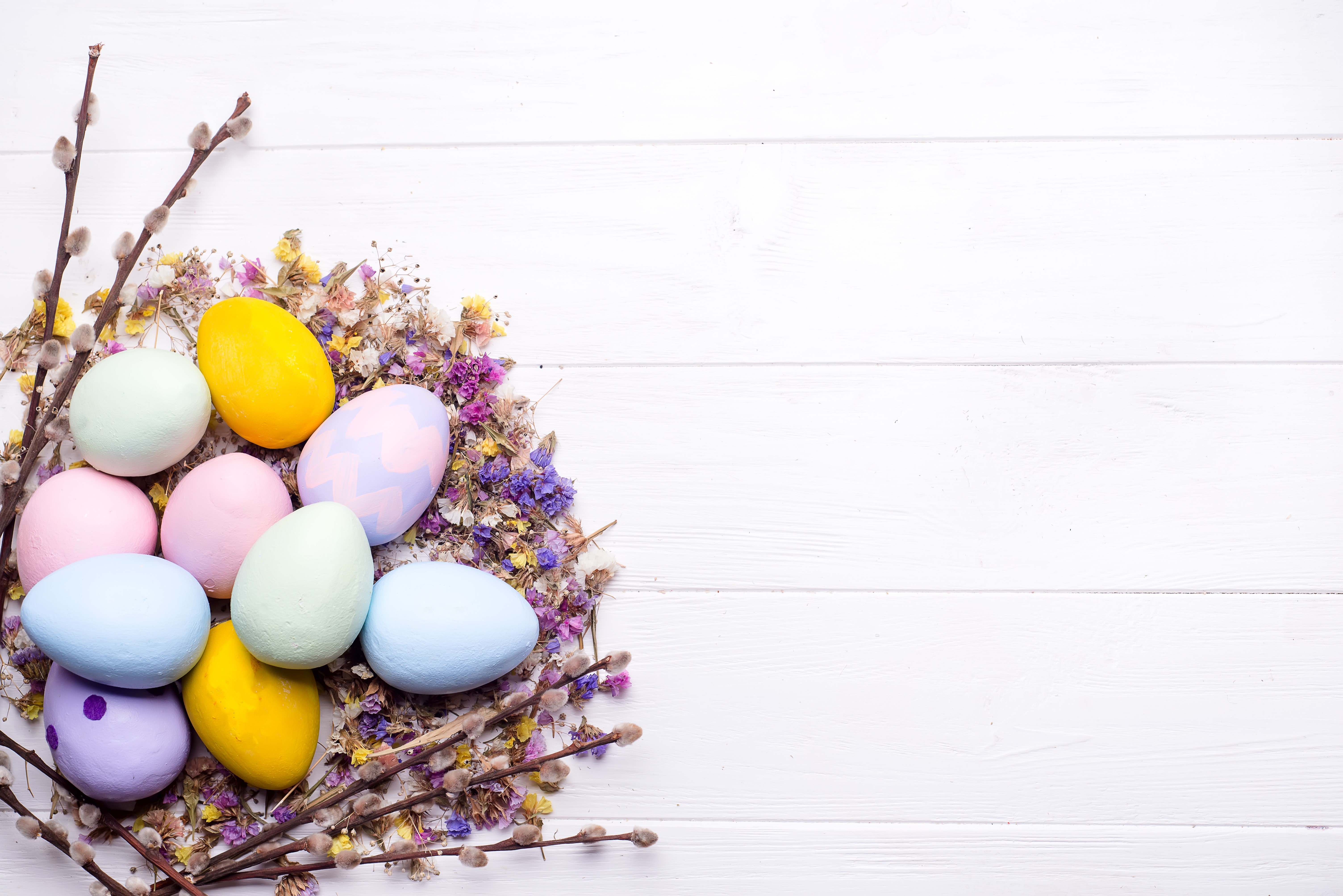 Easter Eggs and Pussy Willow Branches on White Wood HD Wallpaper