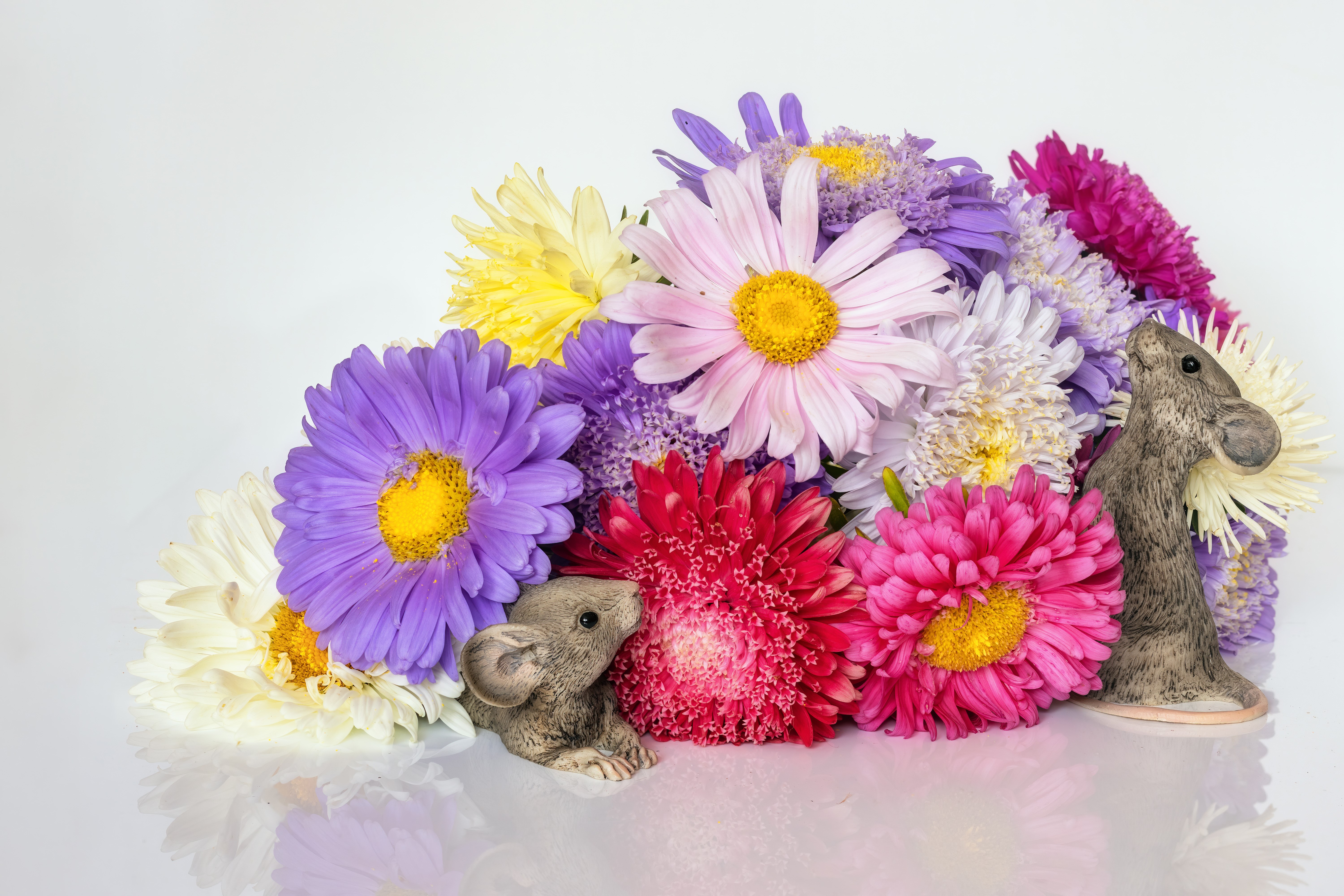 Two mice figurines with a bouquet of colorful asters HD Wallpaper