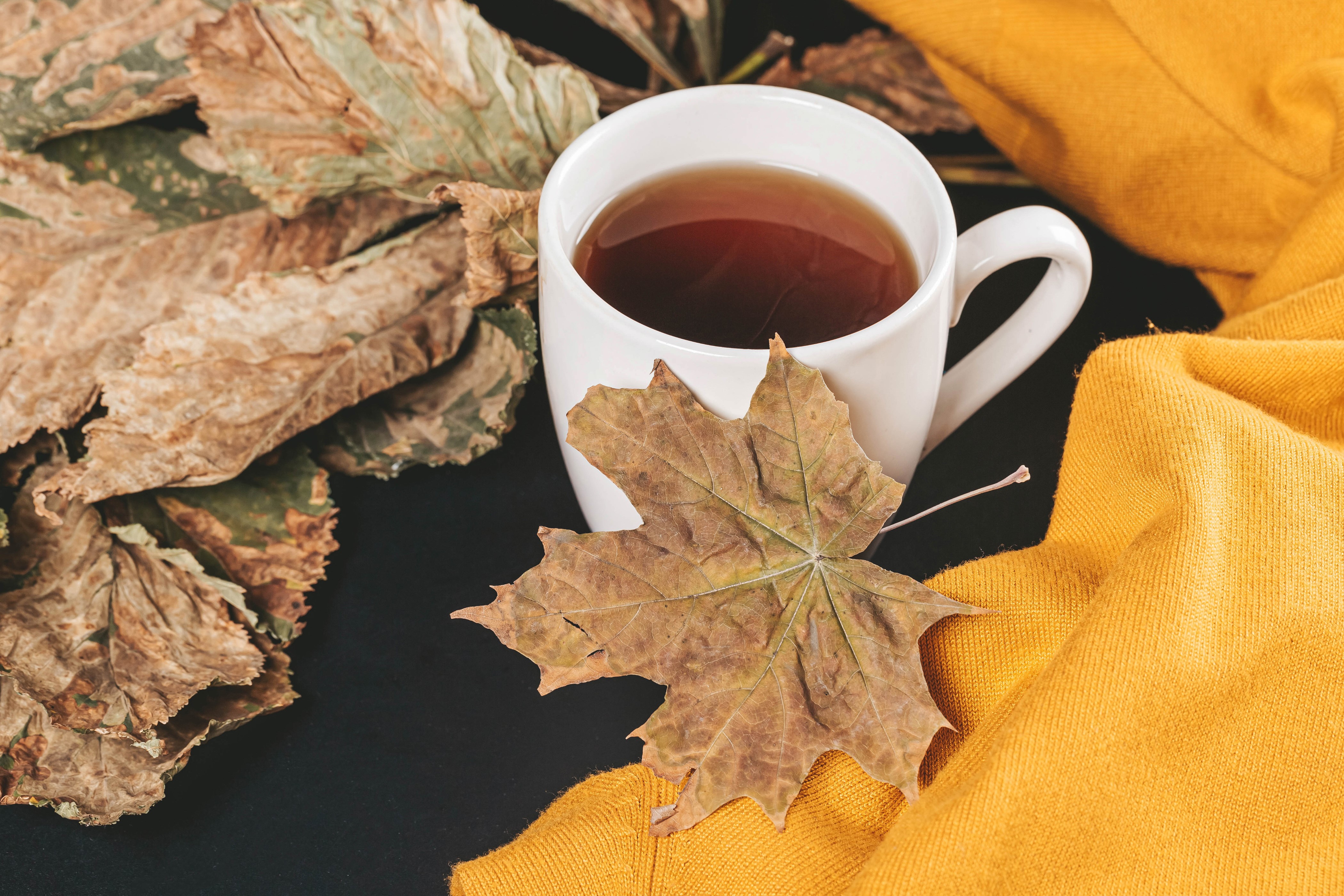 Autumn tea with fallen leaves and yellow scarf HD Wallpaper