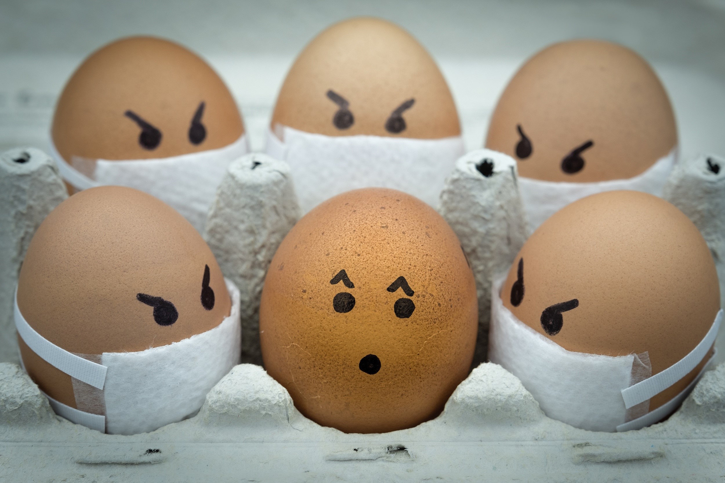 Eggs with faces and masks in a carton HD Wallpaper