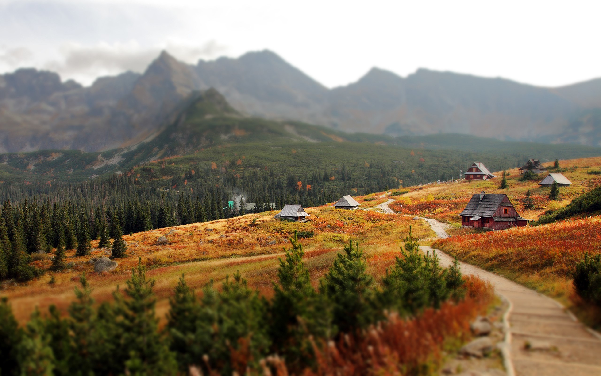 Autumn landscape with cabins in Tatra Mountains, Slovakia HD Wallpaper