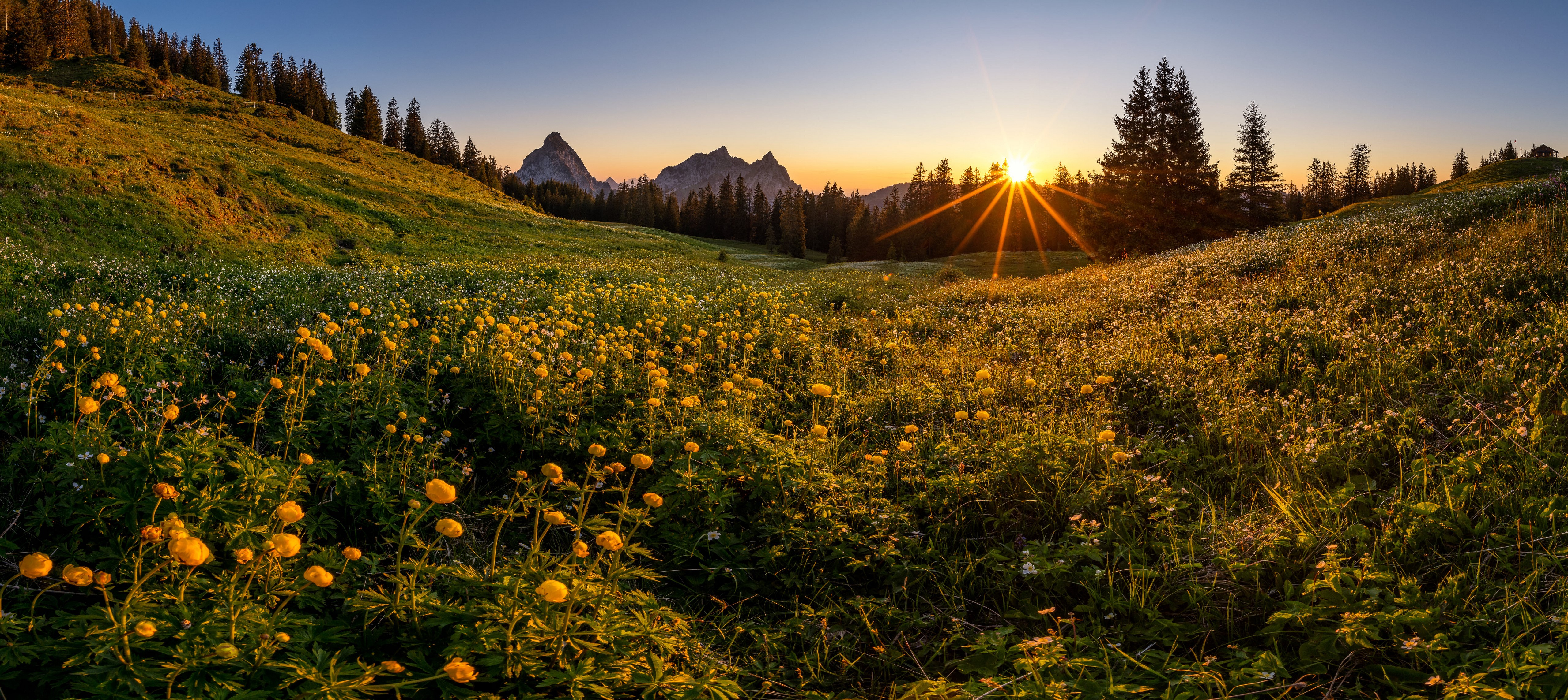 Sunset Over the Schwyz Alpine Grasslands 4K HD Wallpaper