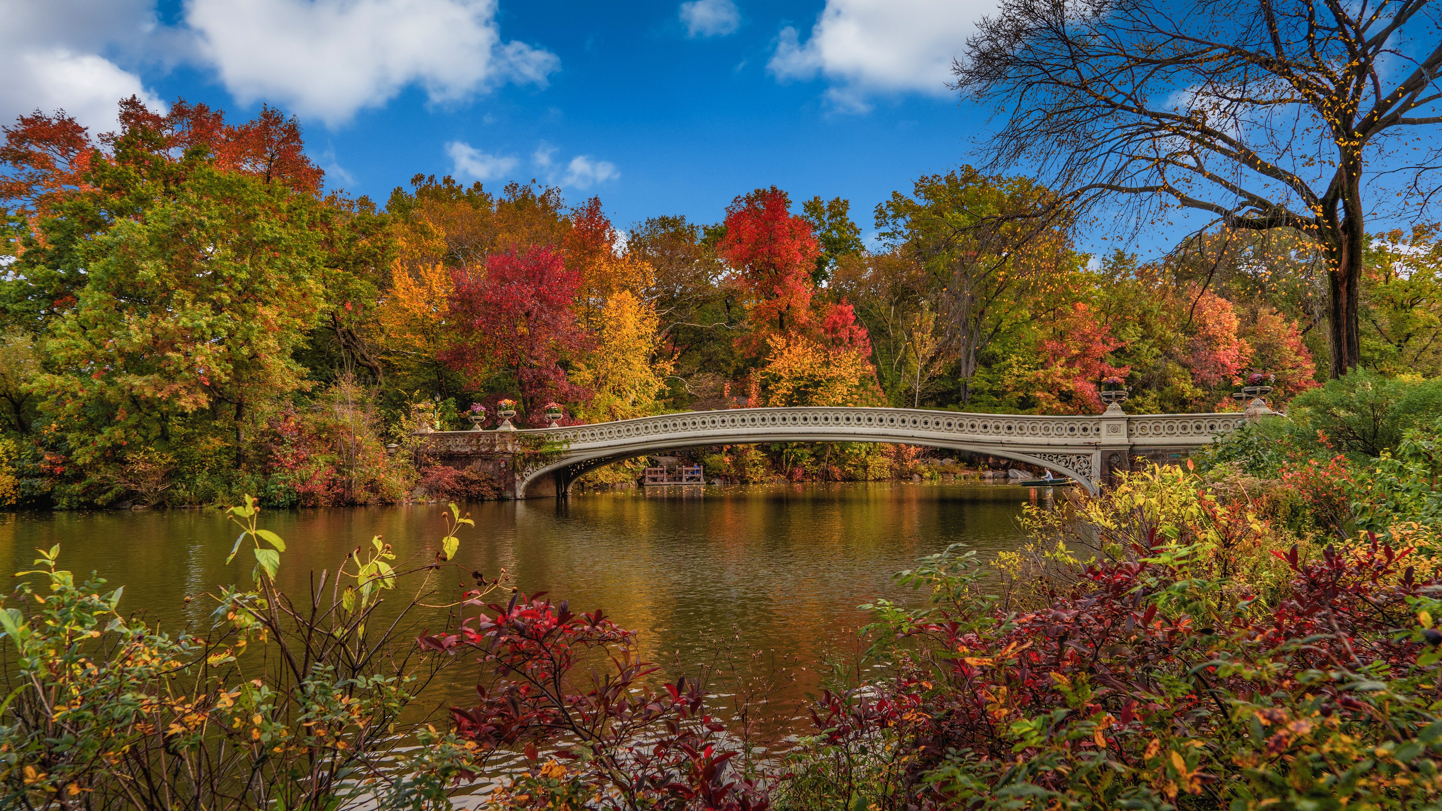 Bow Bridge in Central Park, New York City during Autumn HD Wallpaper
