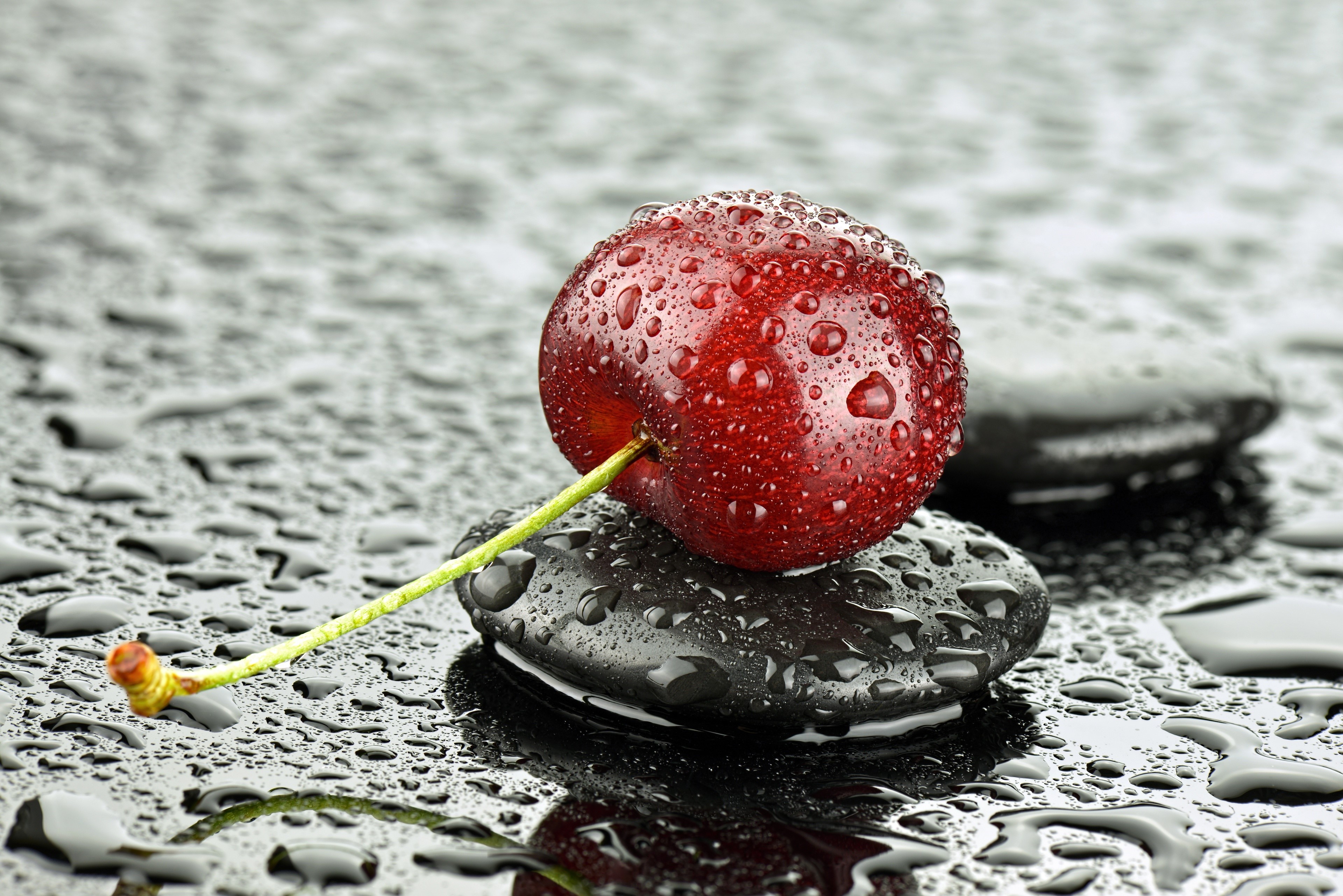4K Cherry with Water Drops on Stones HD Wallpaper