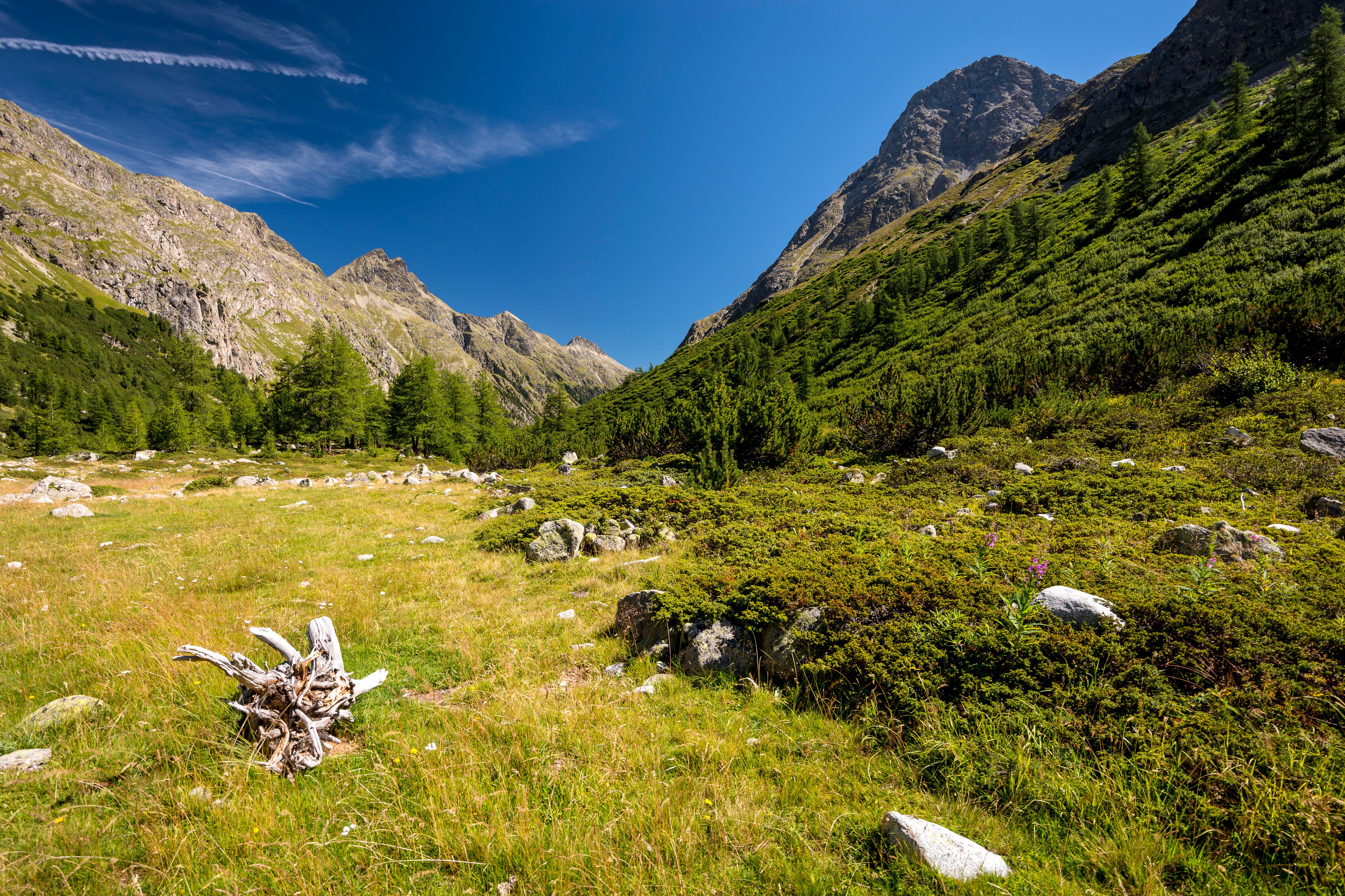 Val Bever, Switzerland: Mountains, Alps, Grass, Stones HD Wallpaper