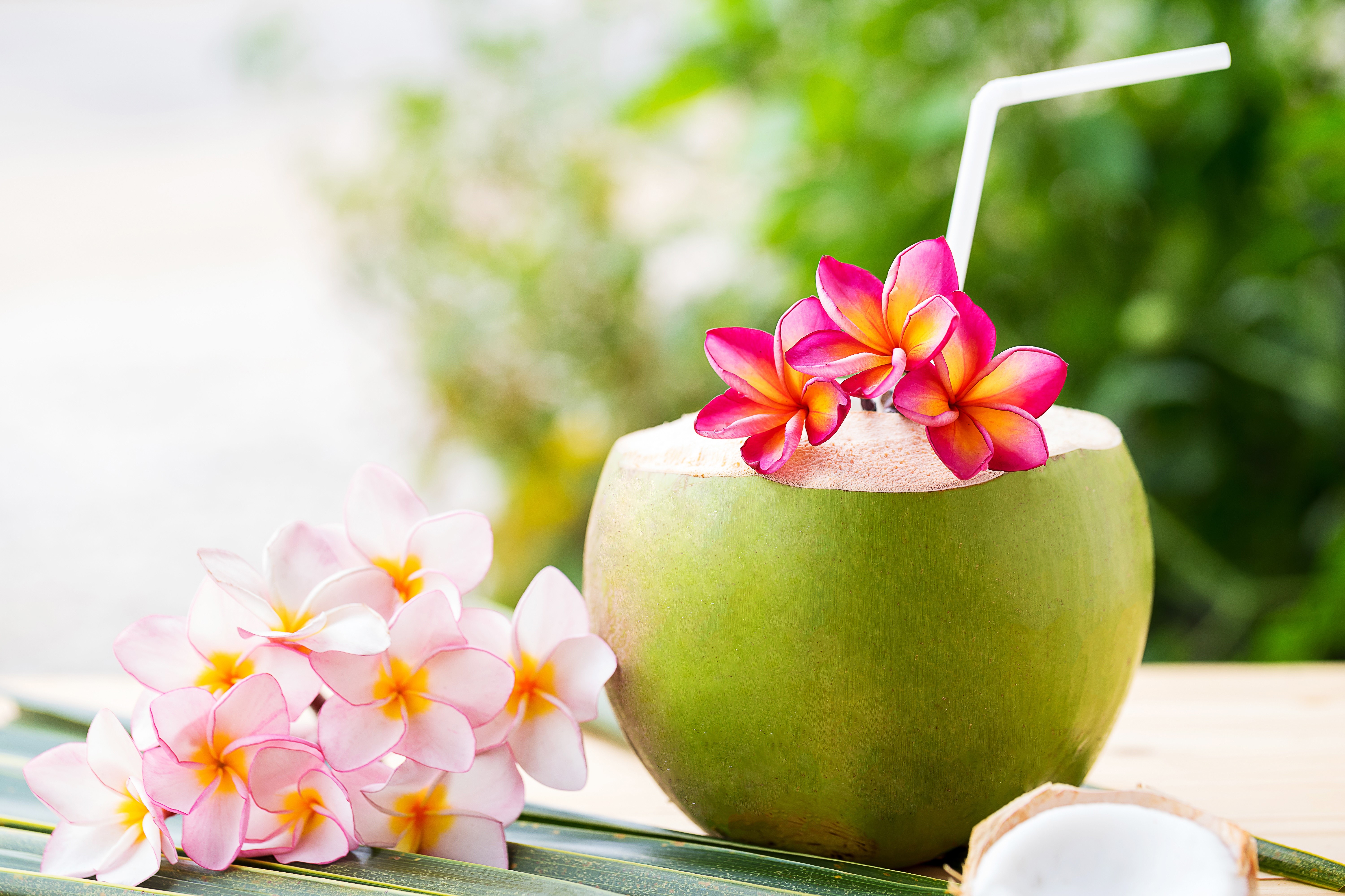 Coconut cocktail with plumeria flowers HD Wallpaper